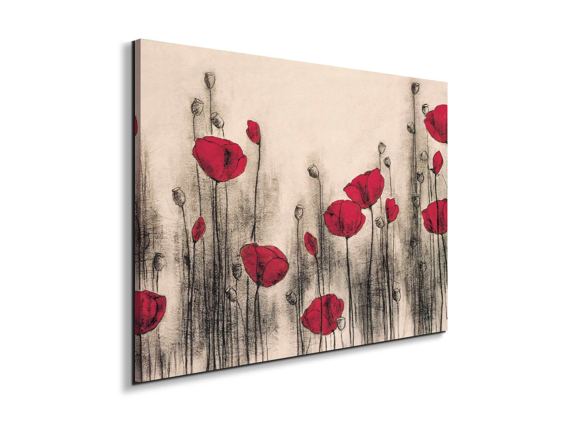 poppies-gardenec21768-