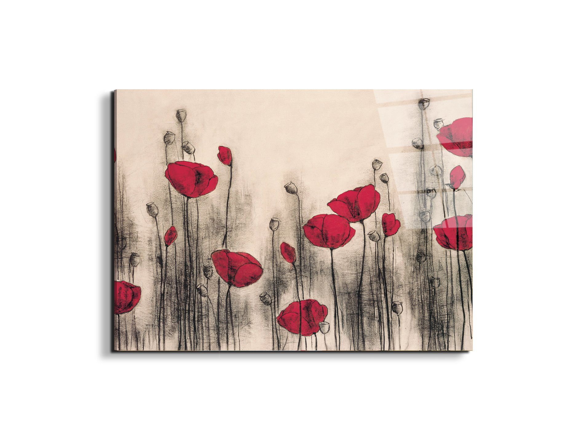 poppies-gardenec21768-