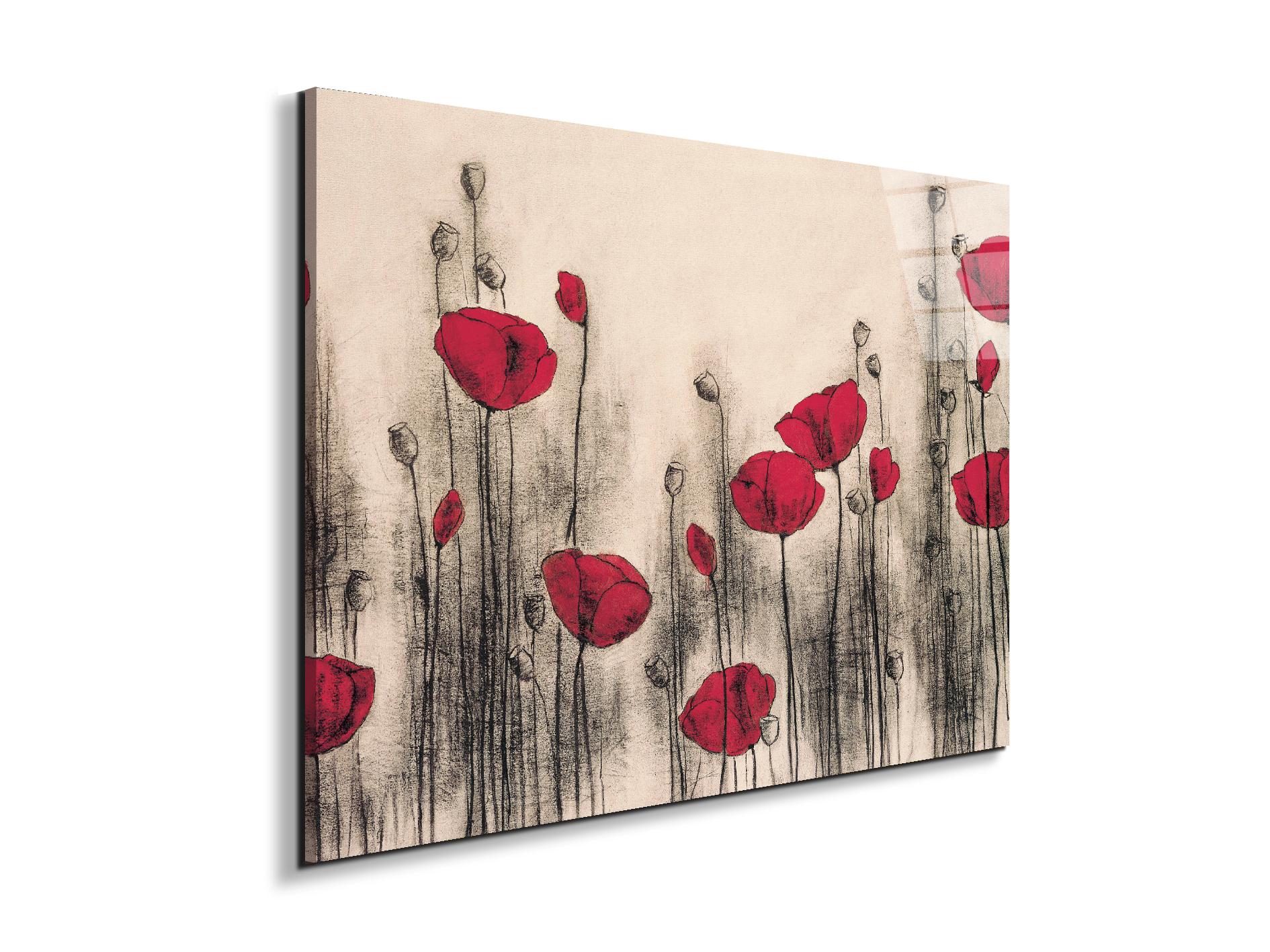 poppies-gardenec21768-