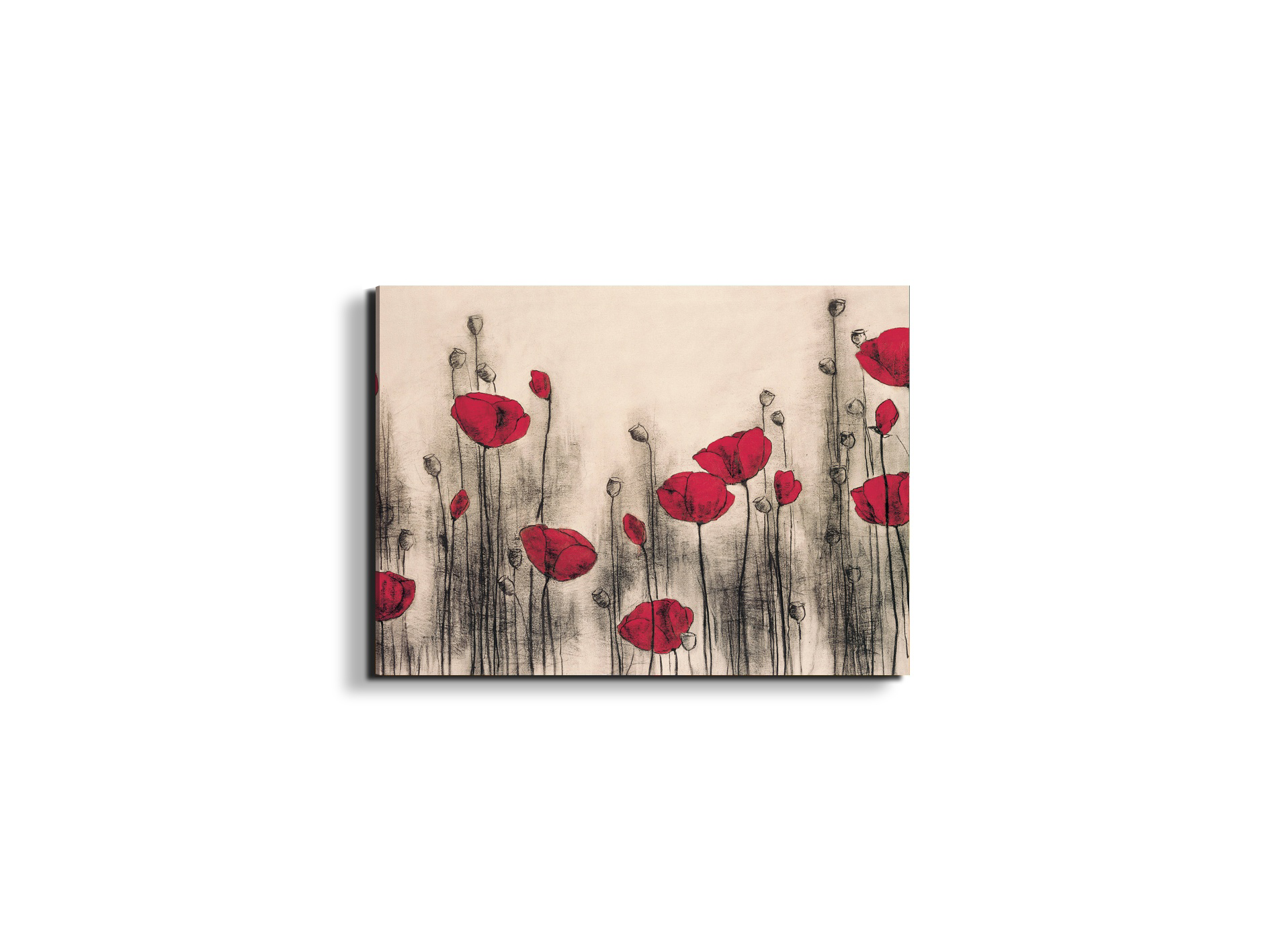 poppies-gardenec21768-