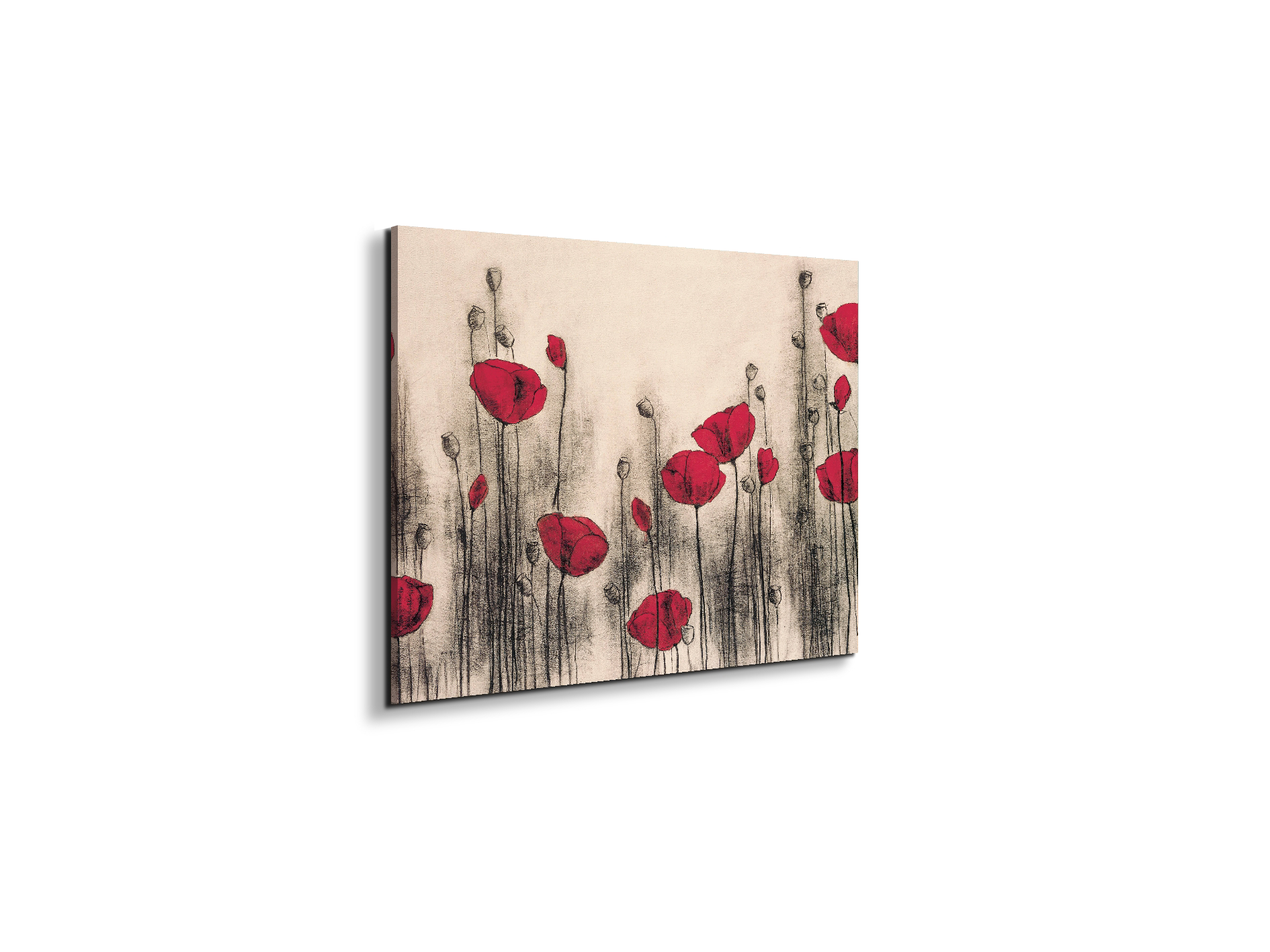 poppies-gardenec21768-