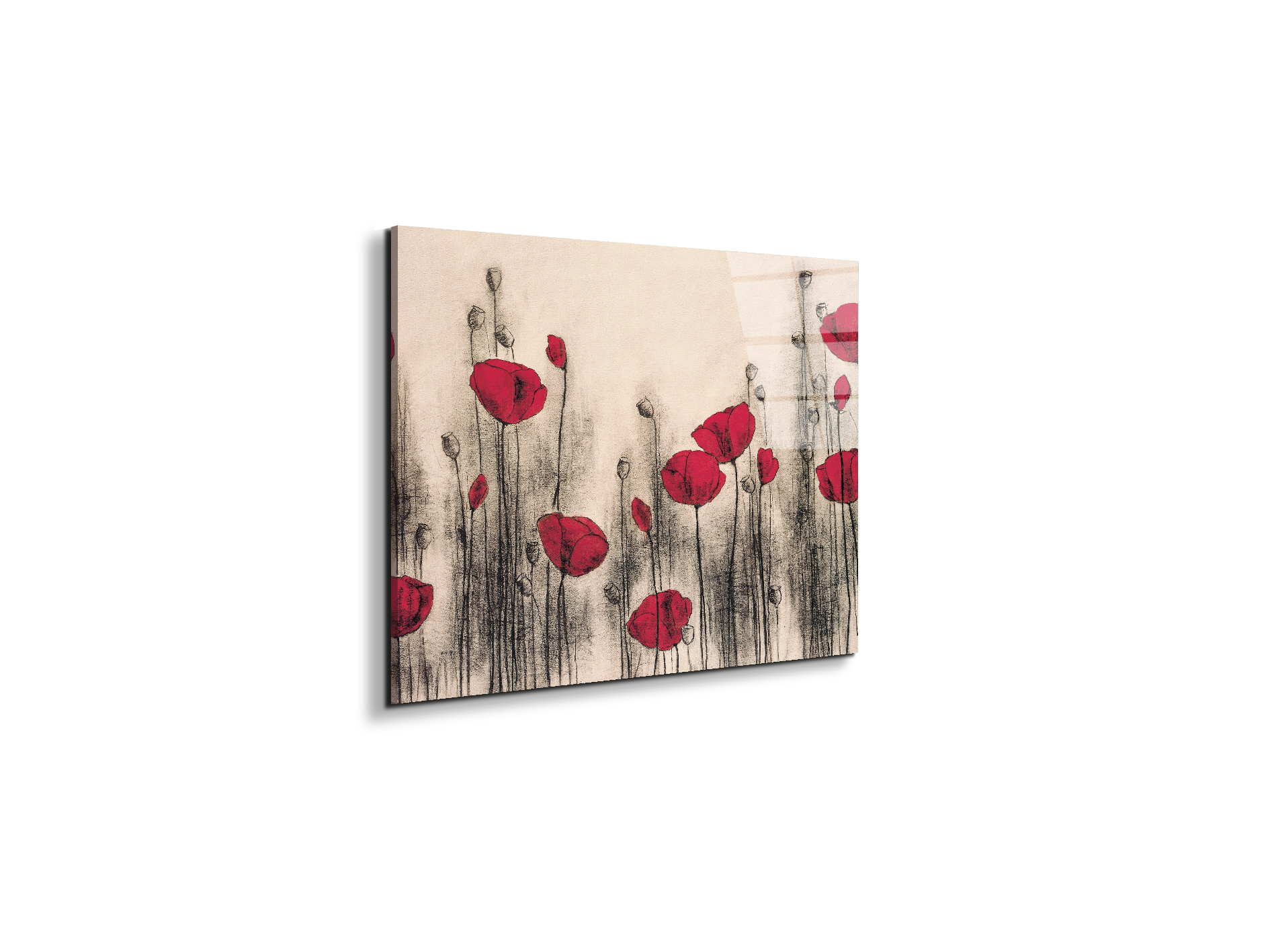 poppies-gardenec21768-