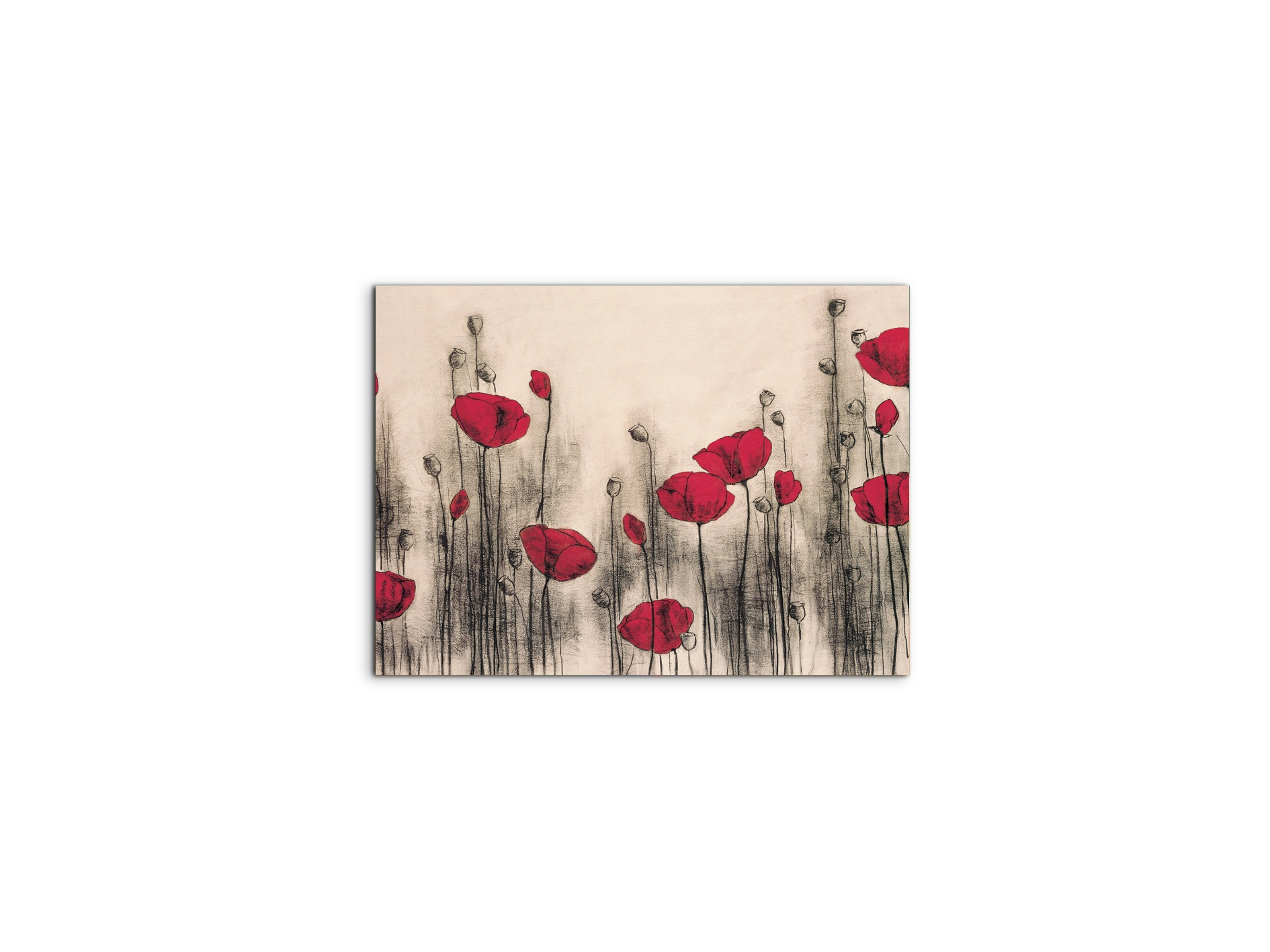 poppies-gardenec21768-
