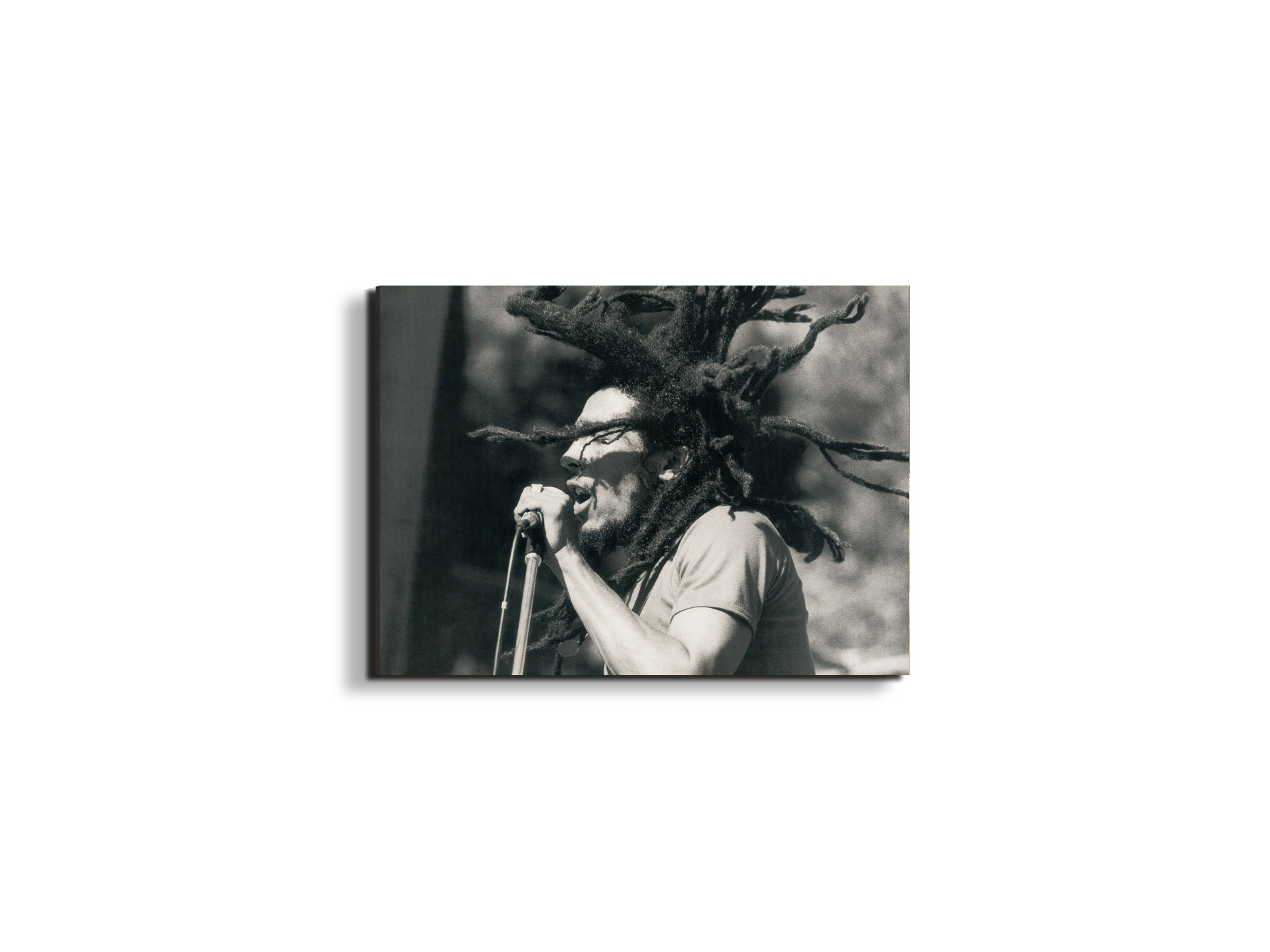 homage-to-bob-concertec21770-#materiale_EarthArt/dimensioni_50x37,42