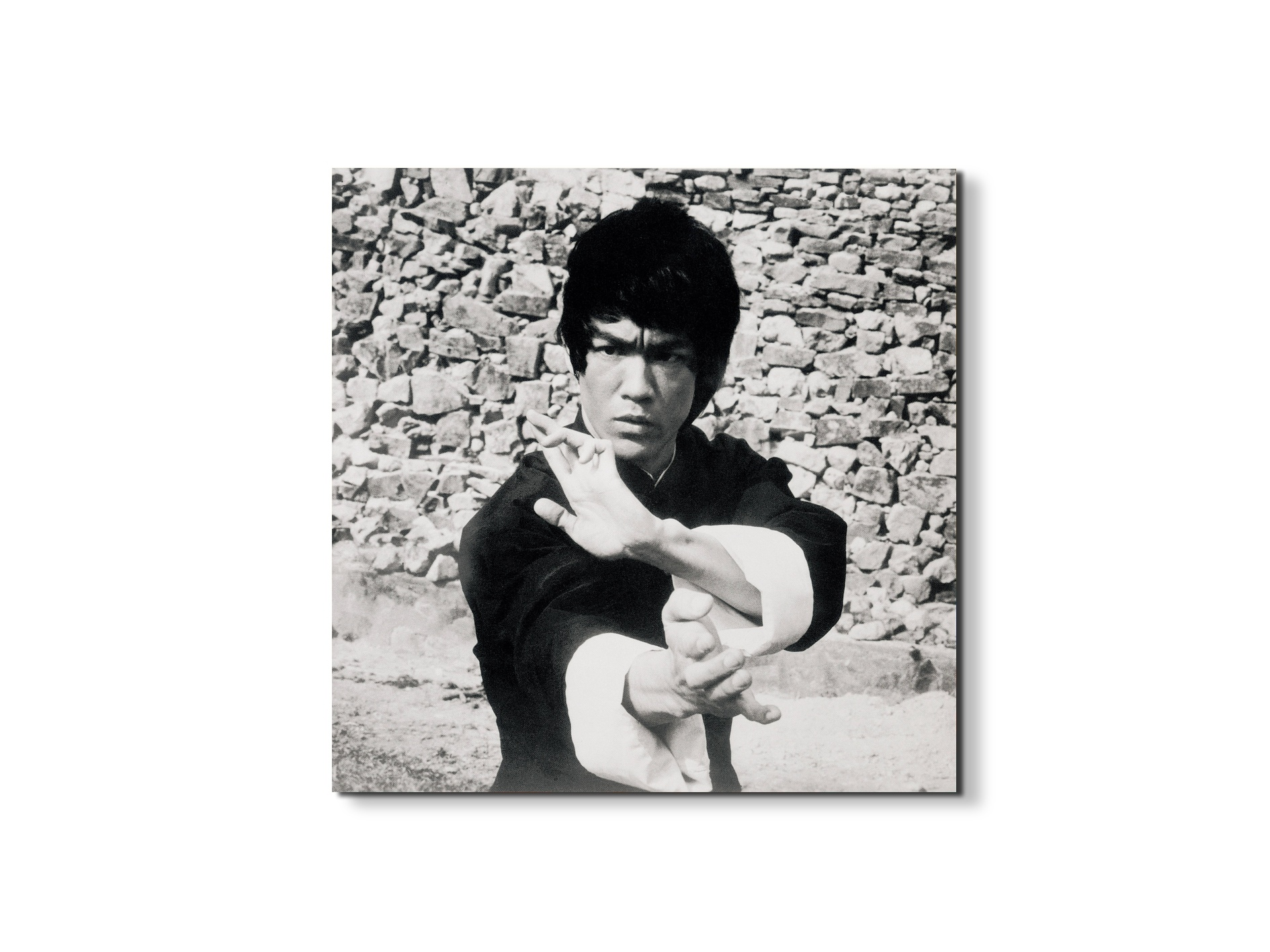 homage-to-bruceec21778-