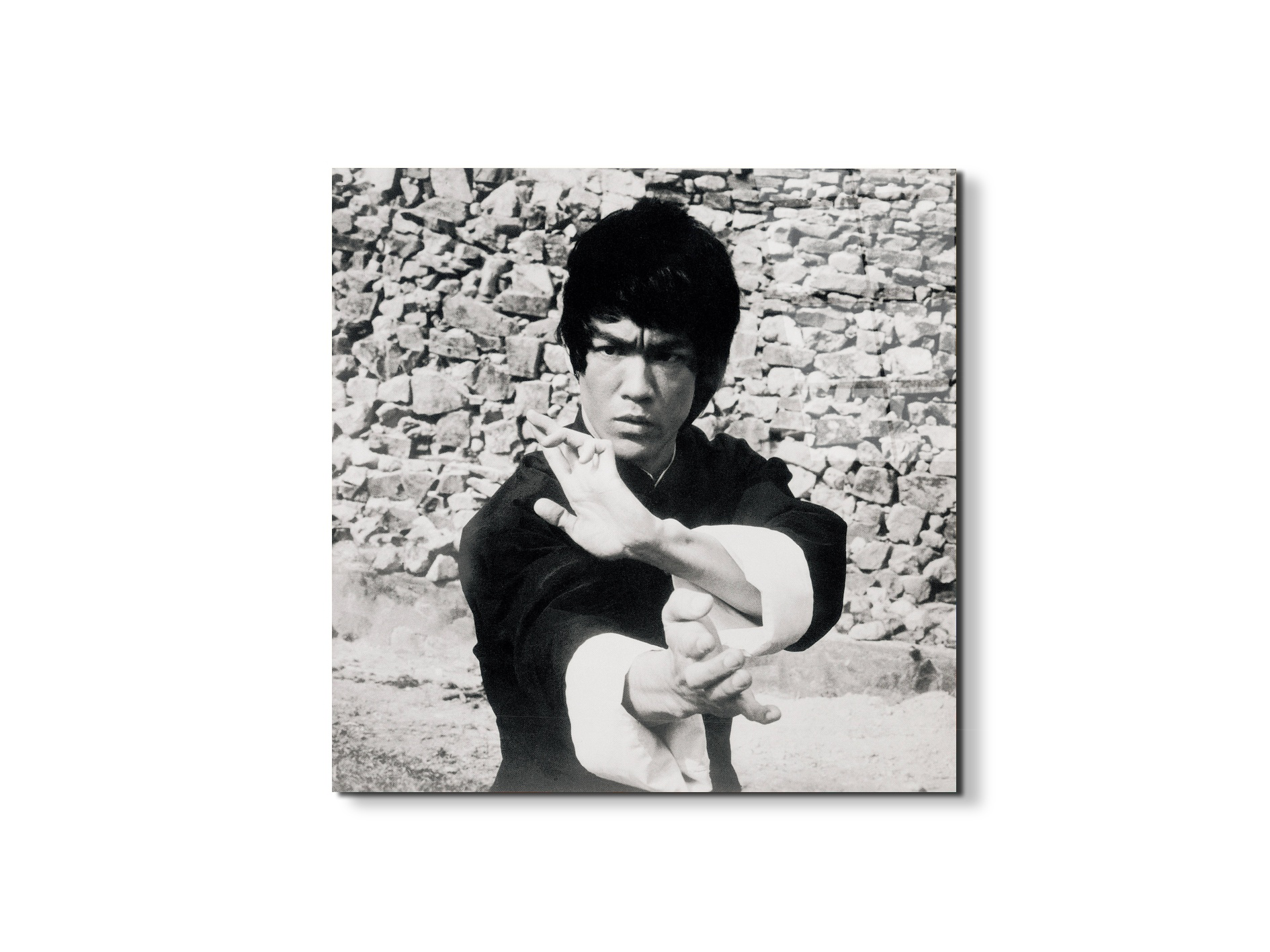 homage-to-bruceec21778-