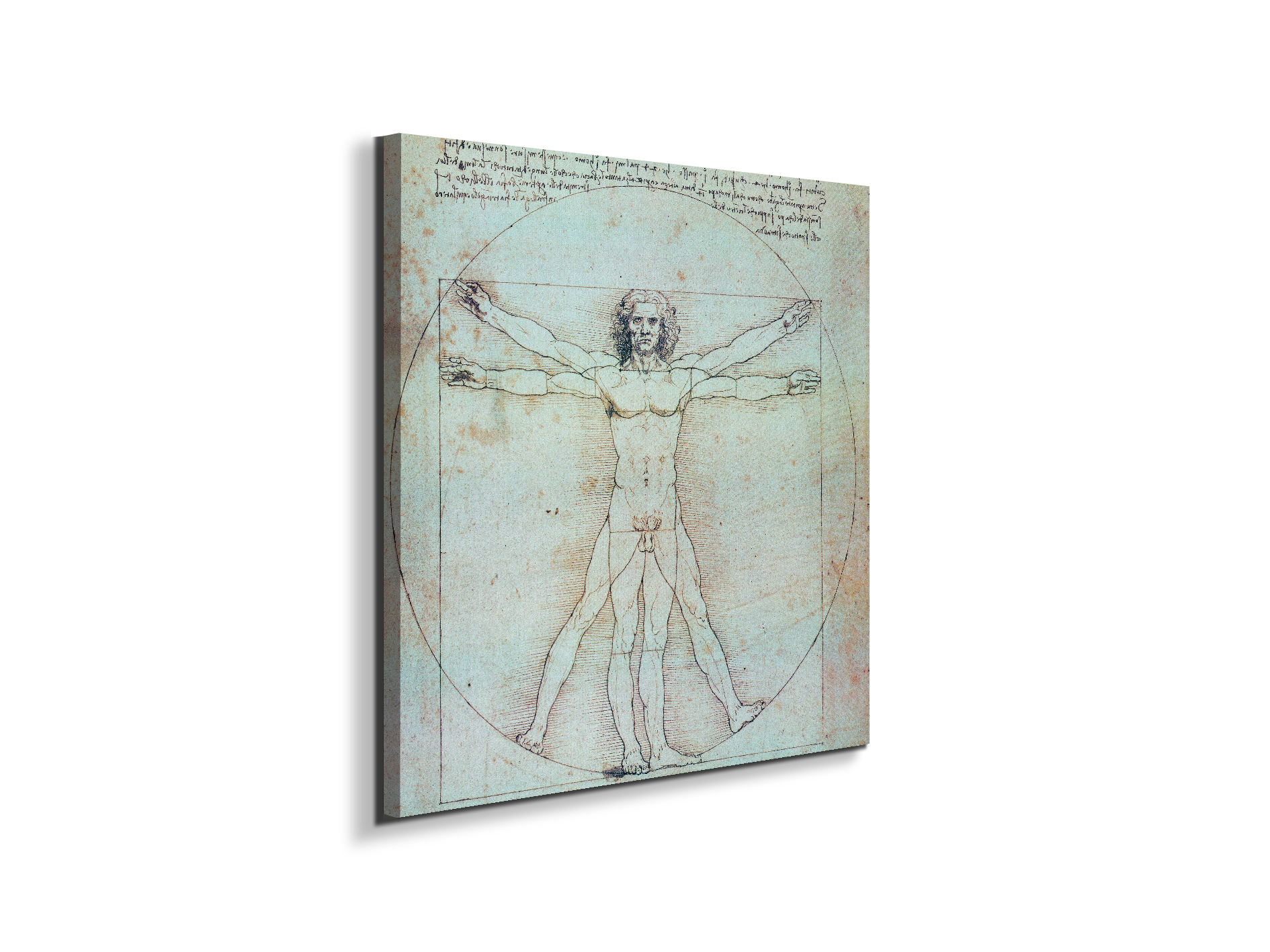 homage-to-leonardo-vitruvian-manec21828-