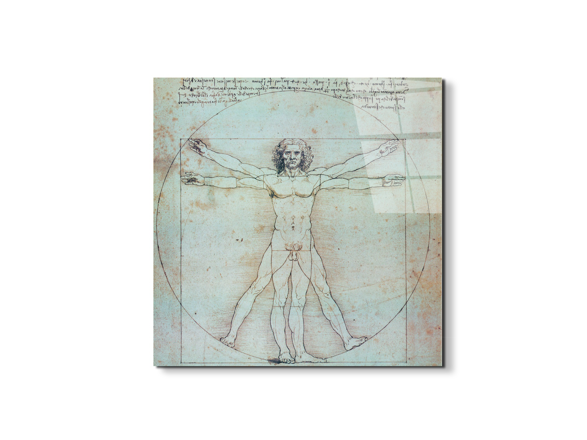 homage-to-leonardo-vitruvian-manec21828-