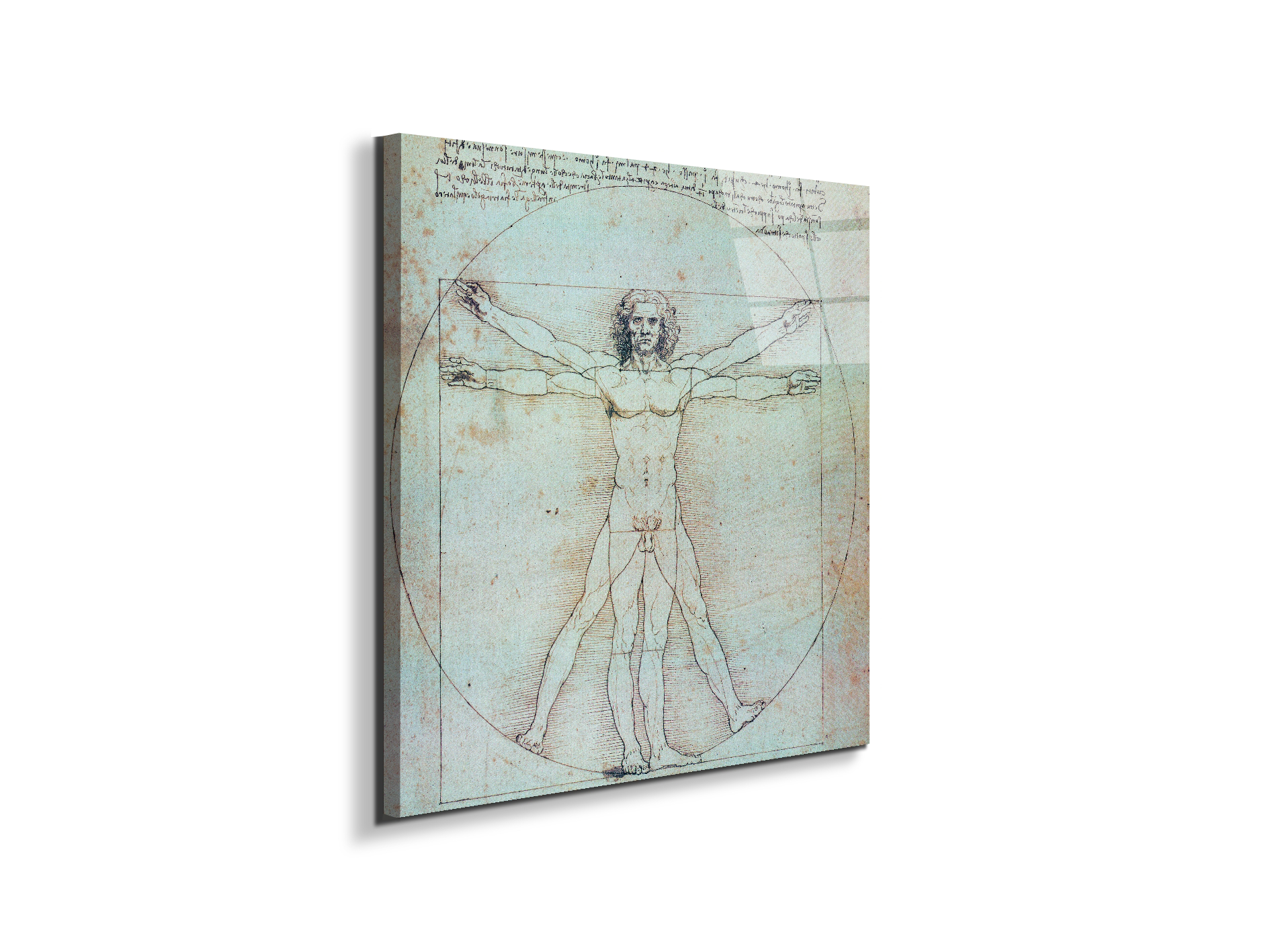homage-to-leonardo-vitruvian-manec21828-