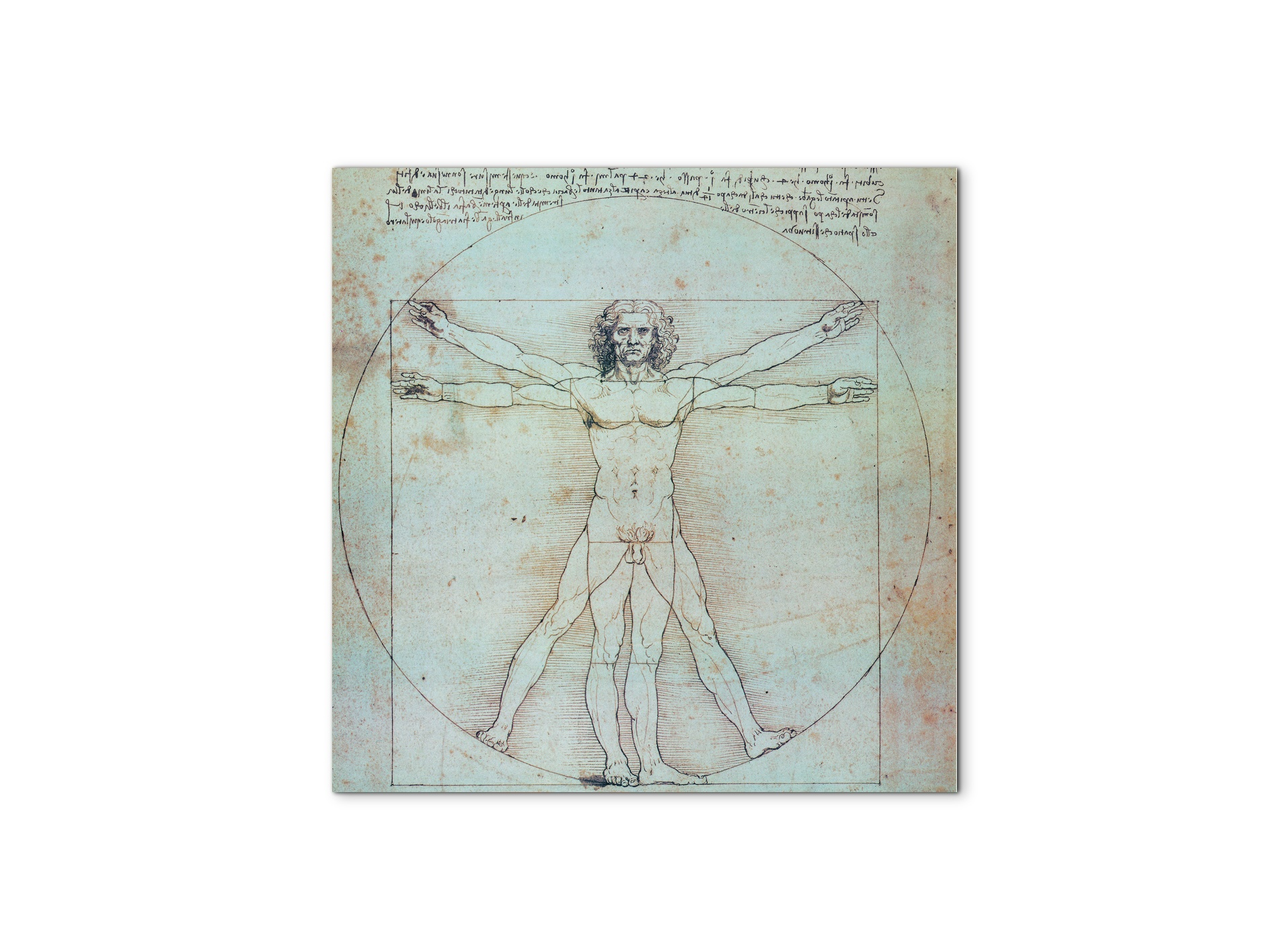 homage-to-leonardo-vitruvian-manec21828-