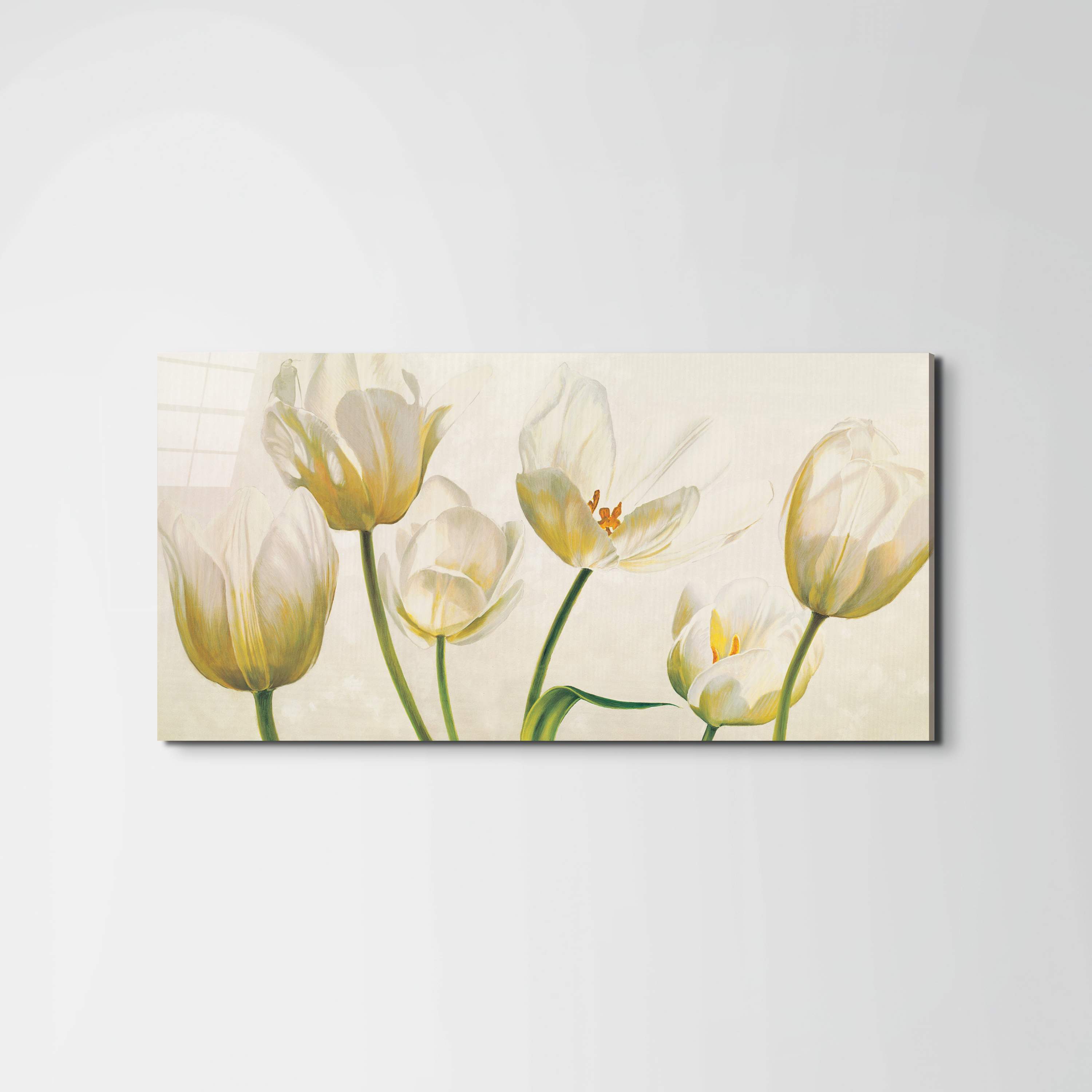 white-tulipsec21892-