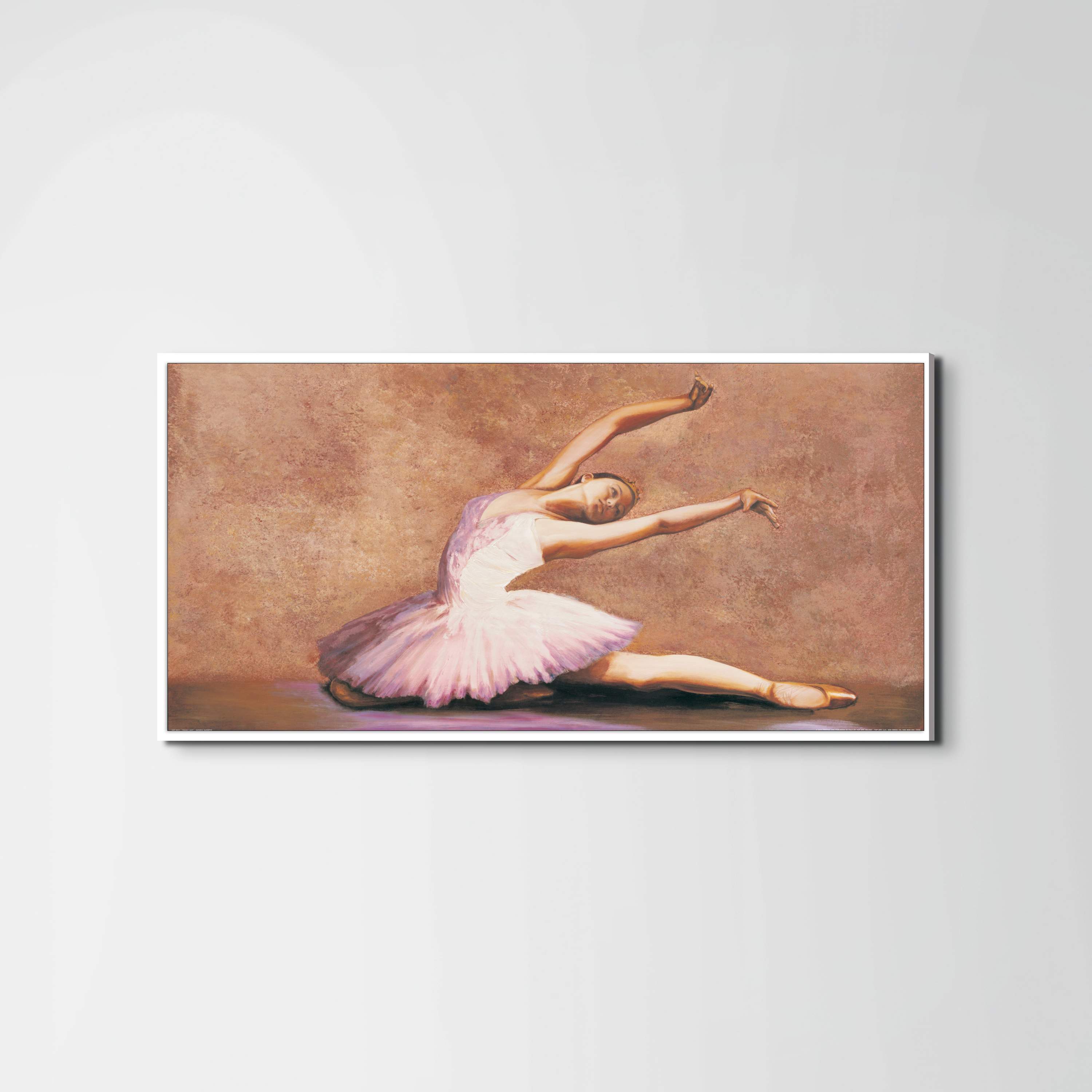 swan-lakeec21893-