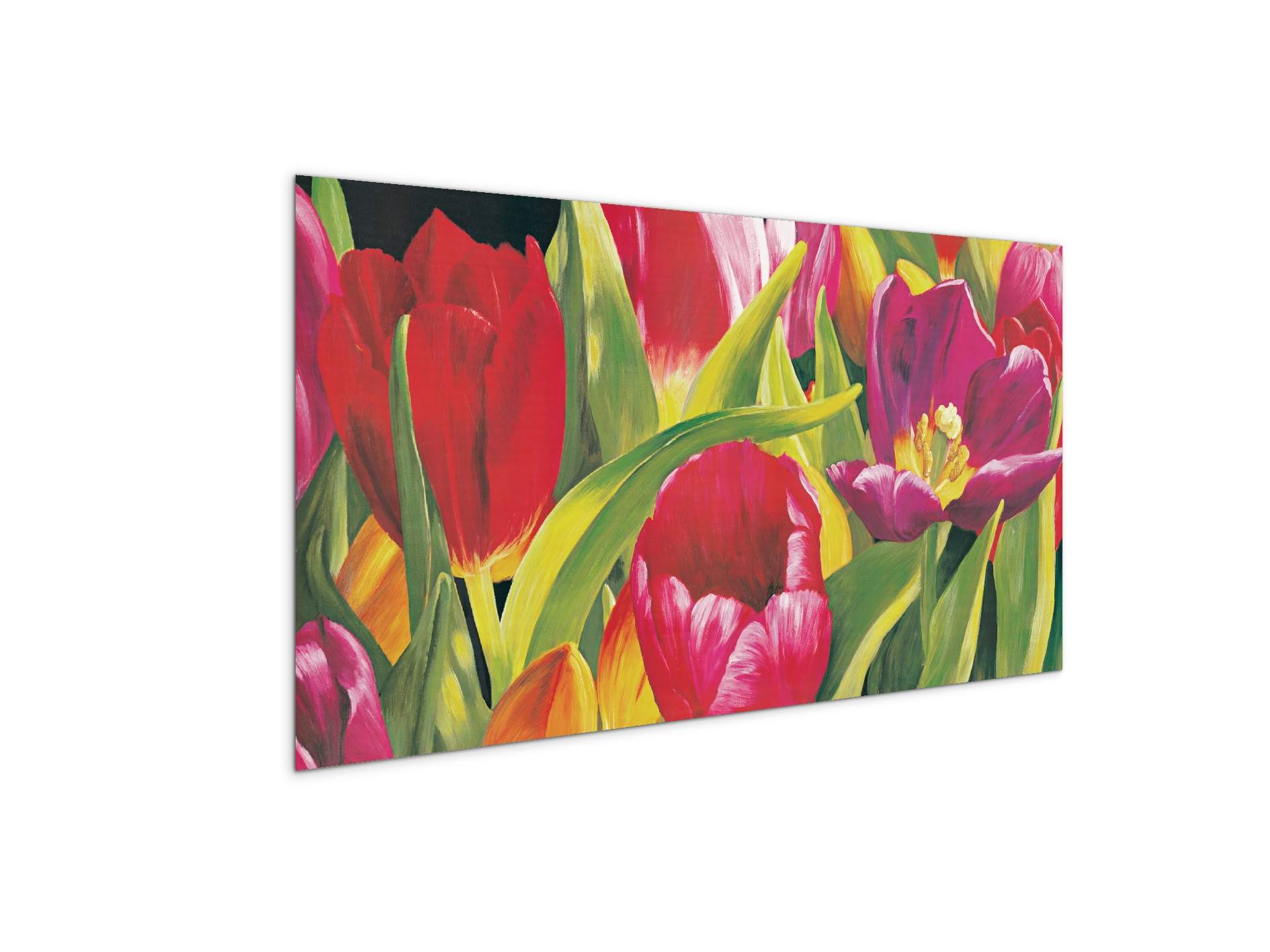 rose-tulipsec21925-
