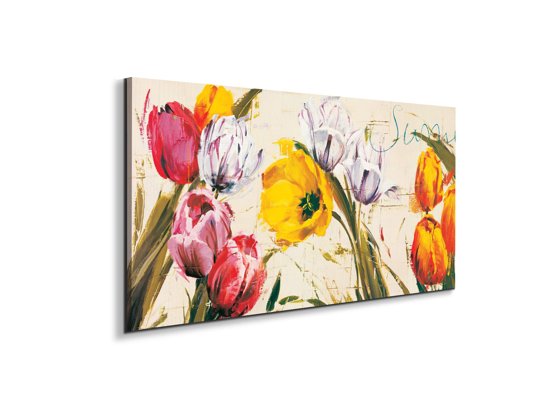 tulips-brushec21929-