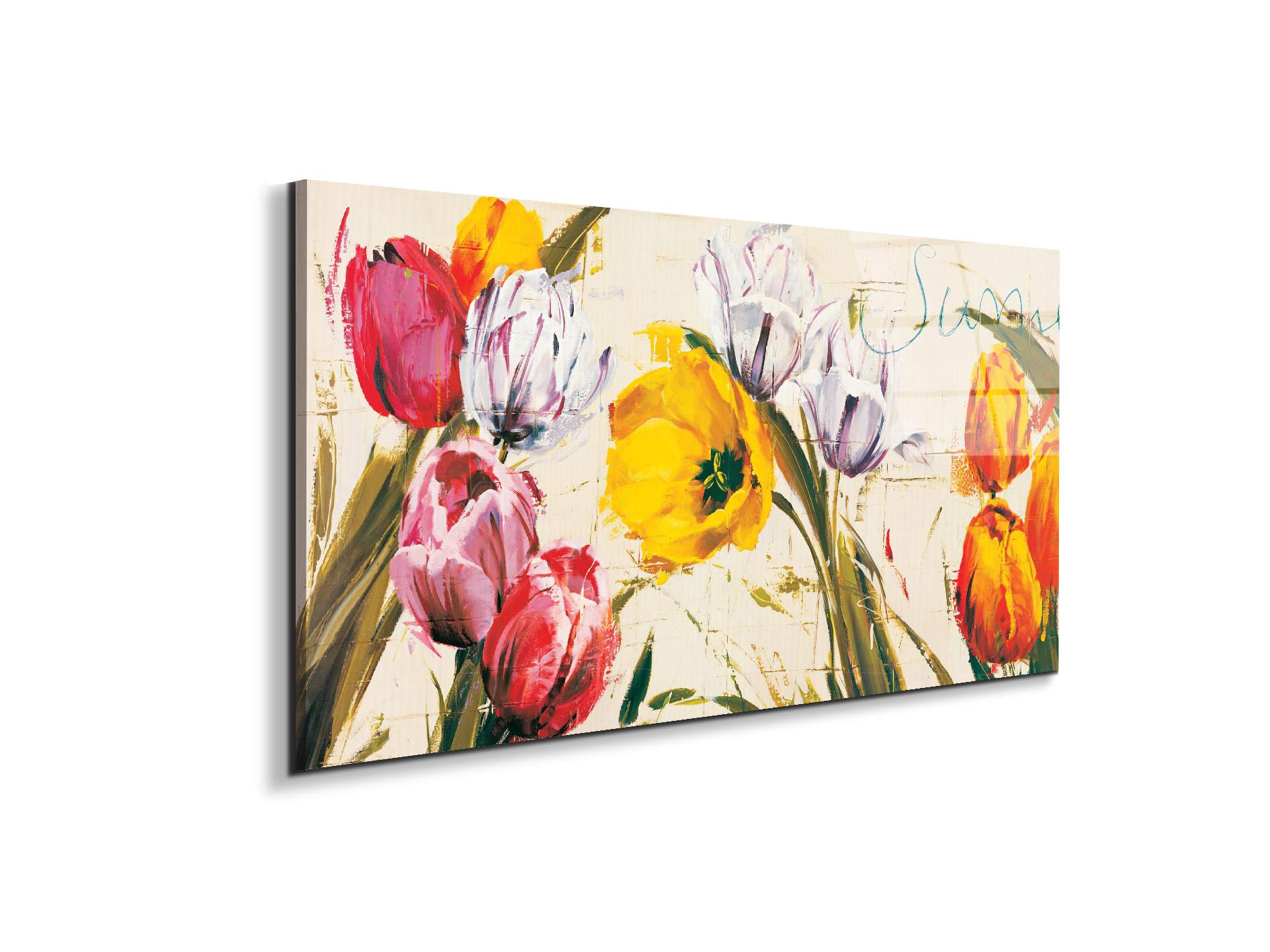 tulips-brushec21929-