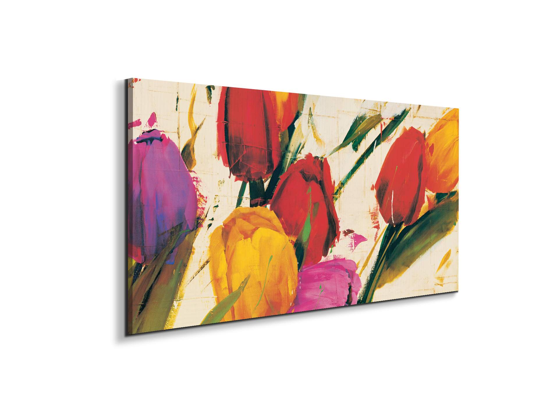 tulips-springec21930-