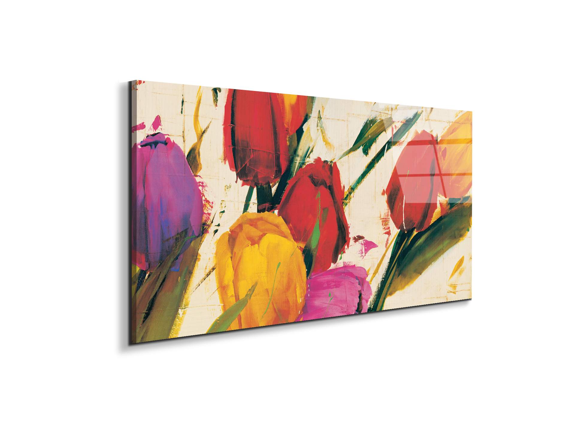 tulips-springec21930-