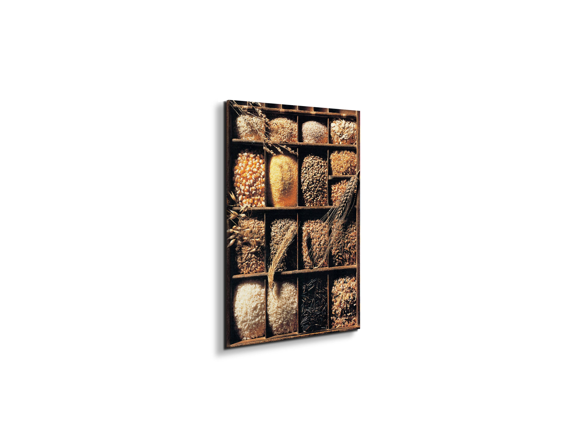 cereal-and-riceec21939-#materiale_EarthArt/dimensioni_37,42x50