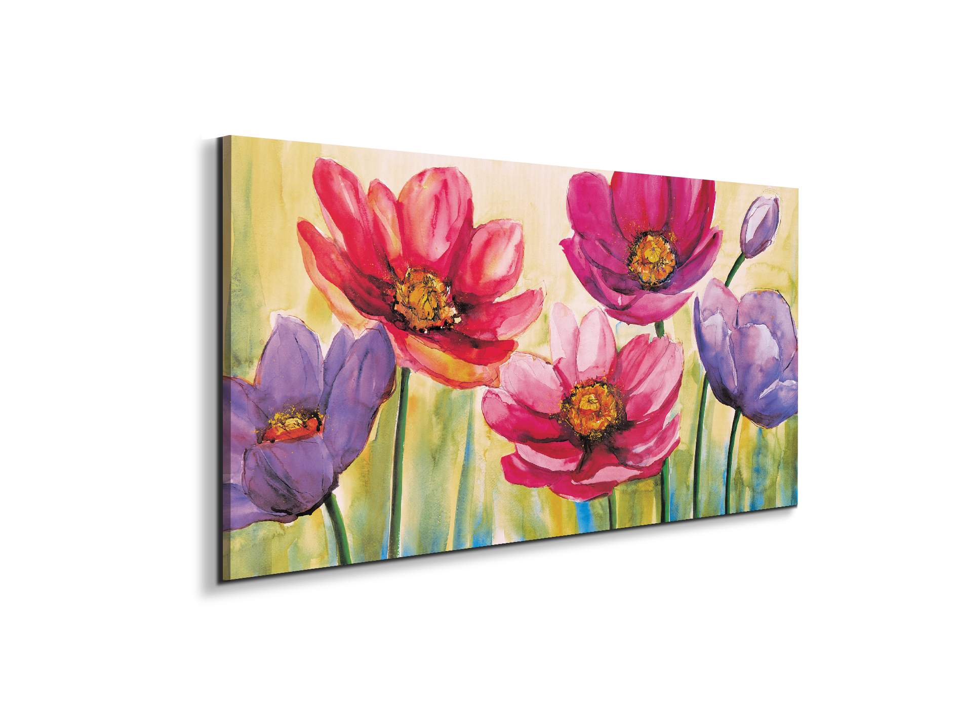 anemonesec21944-