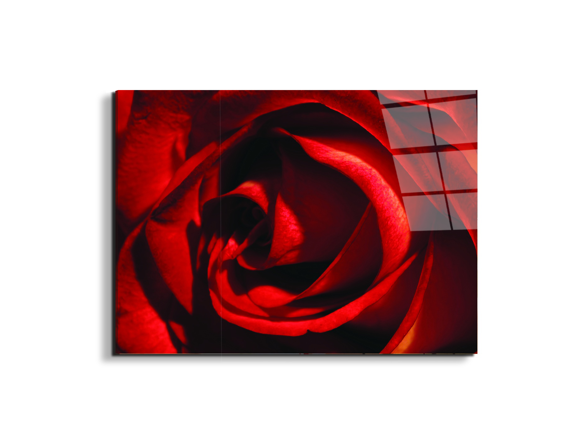 red-rose-heartec21967-