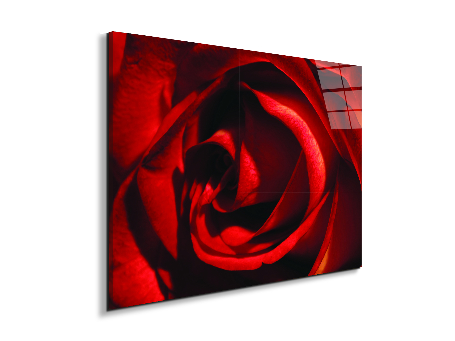 red-rose-heartec21967-