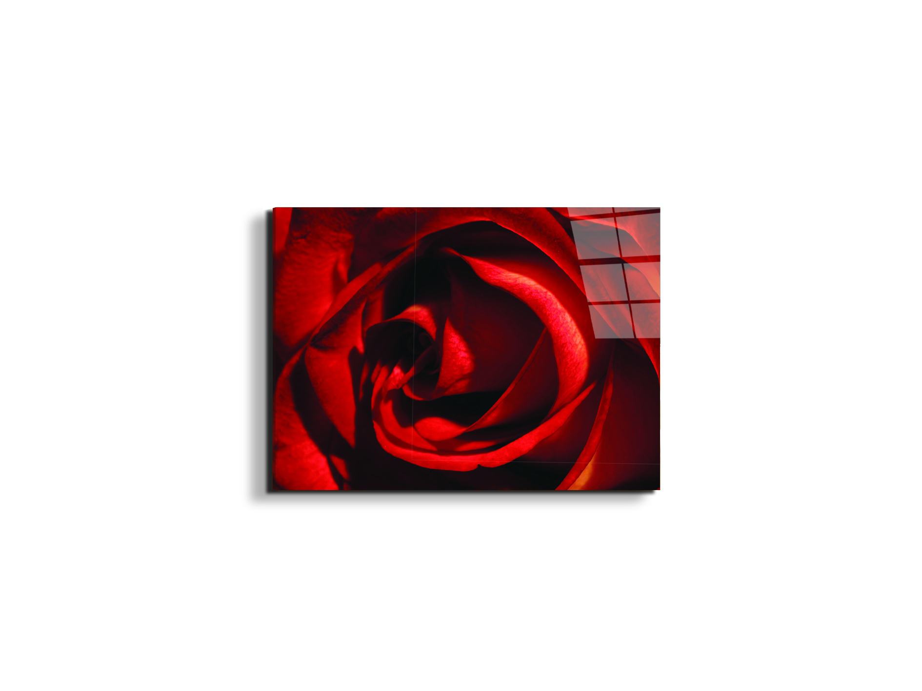 red-rose-heartec21967-