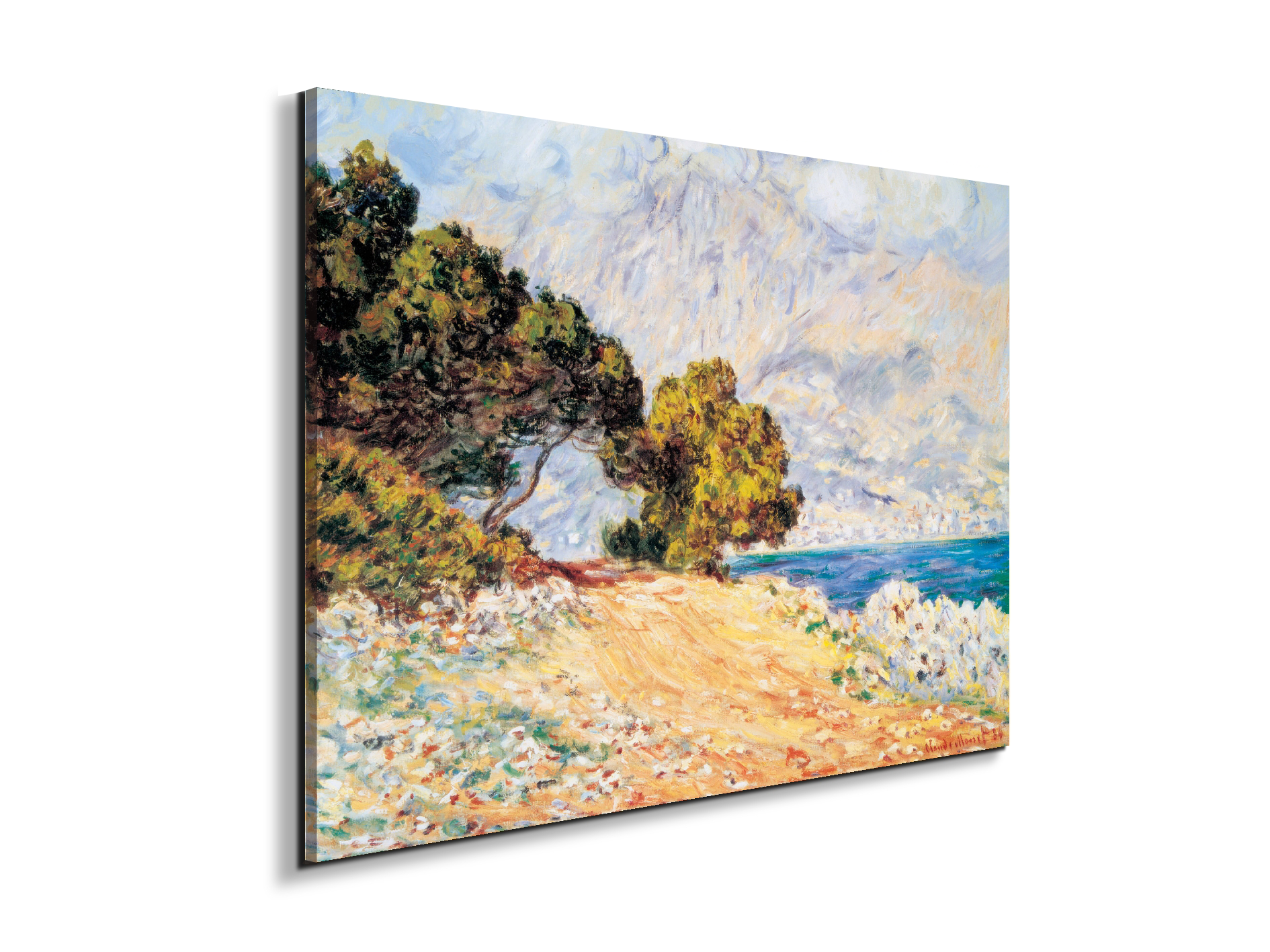 homage-a-monet-cap-martinec22019-