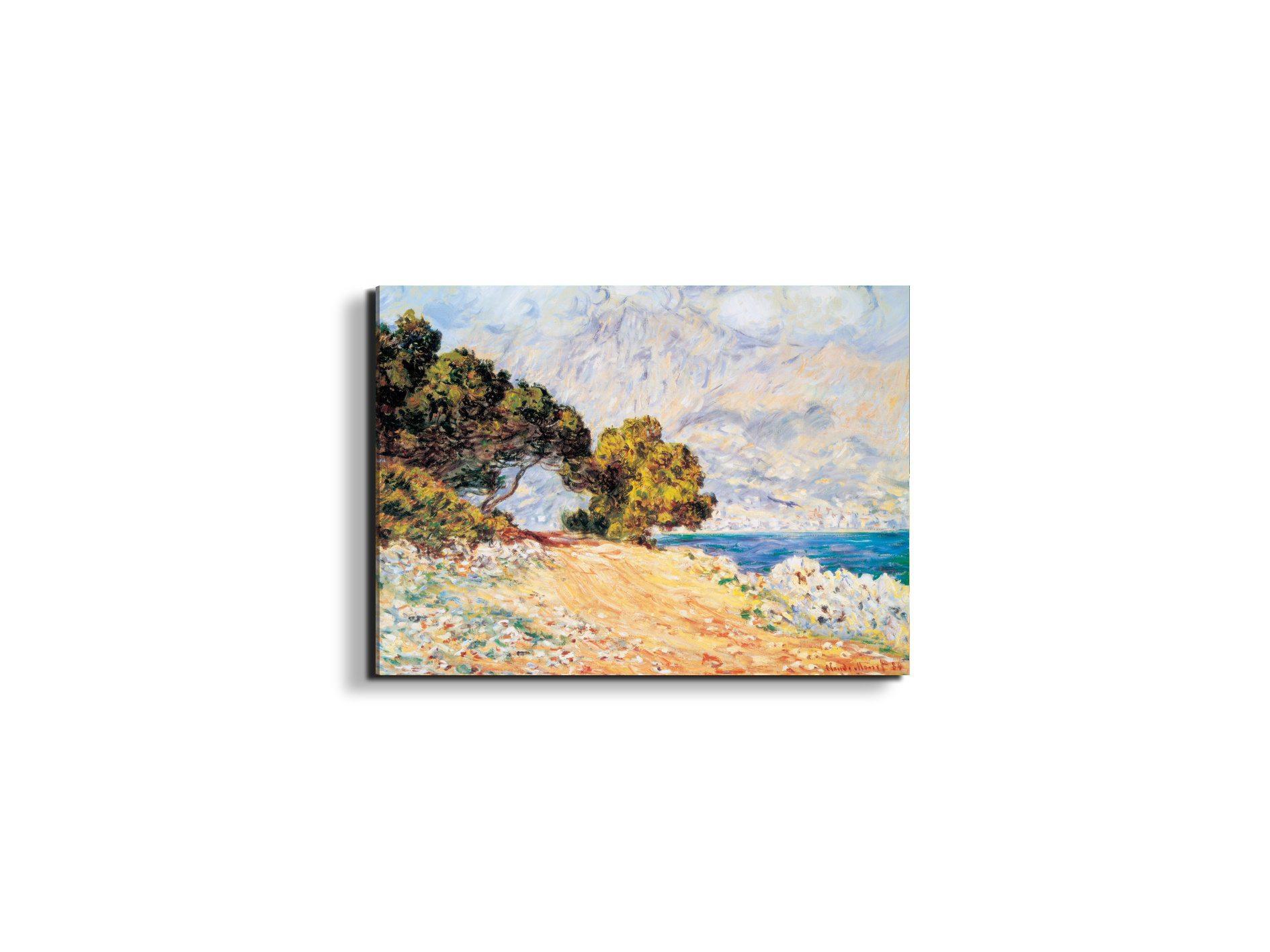 homage-a-monet-cap-martinec22019-