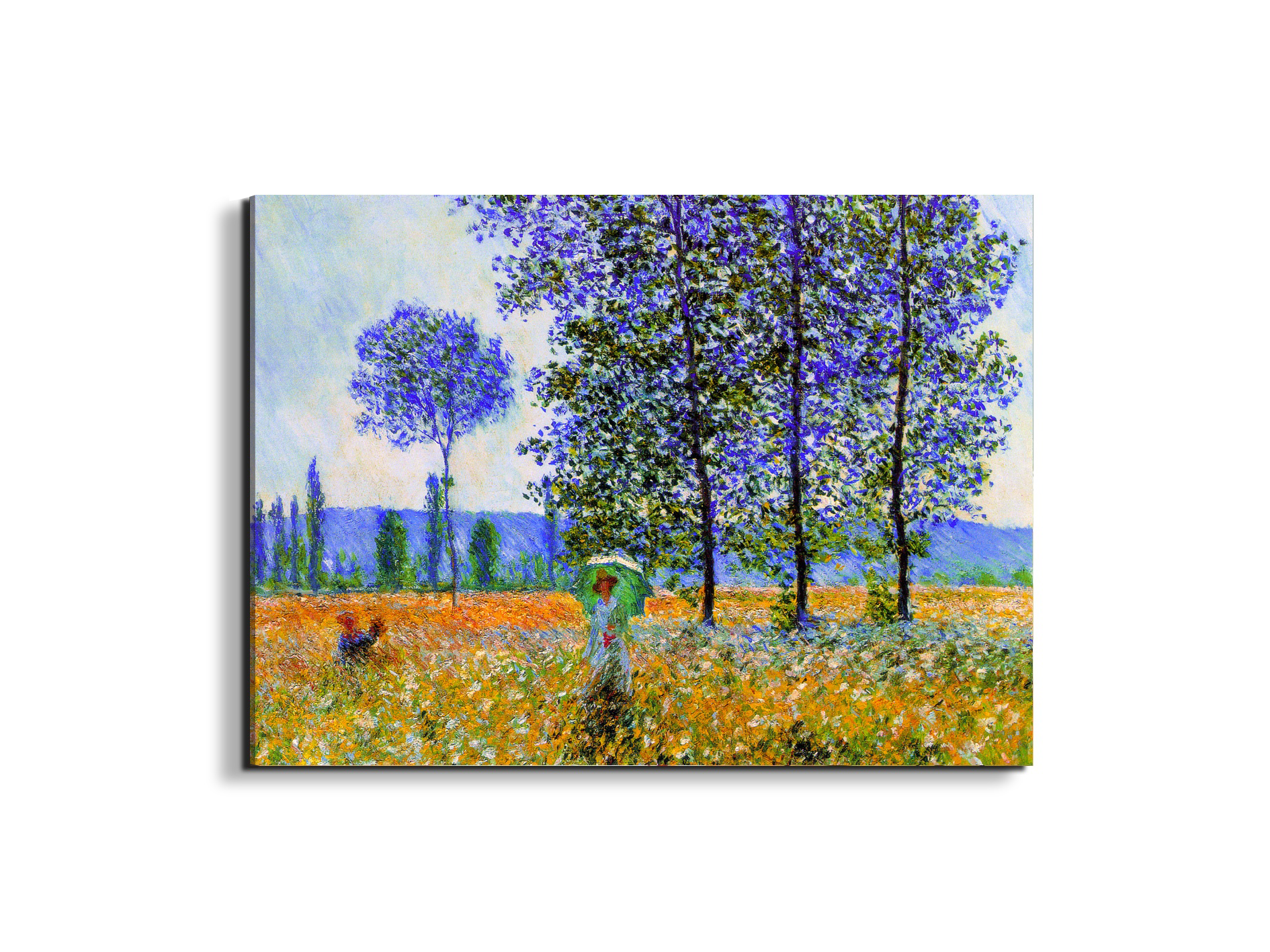homage-to-monet-fields-in-springec22021-