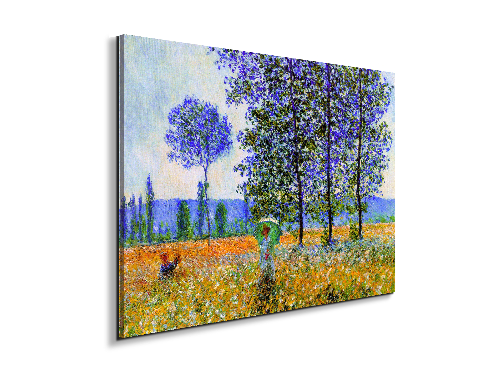homage-to-monet-fields-in-springec22021-
