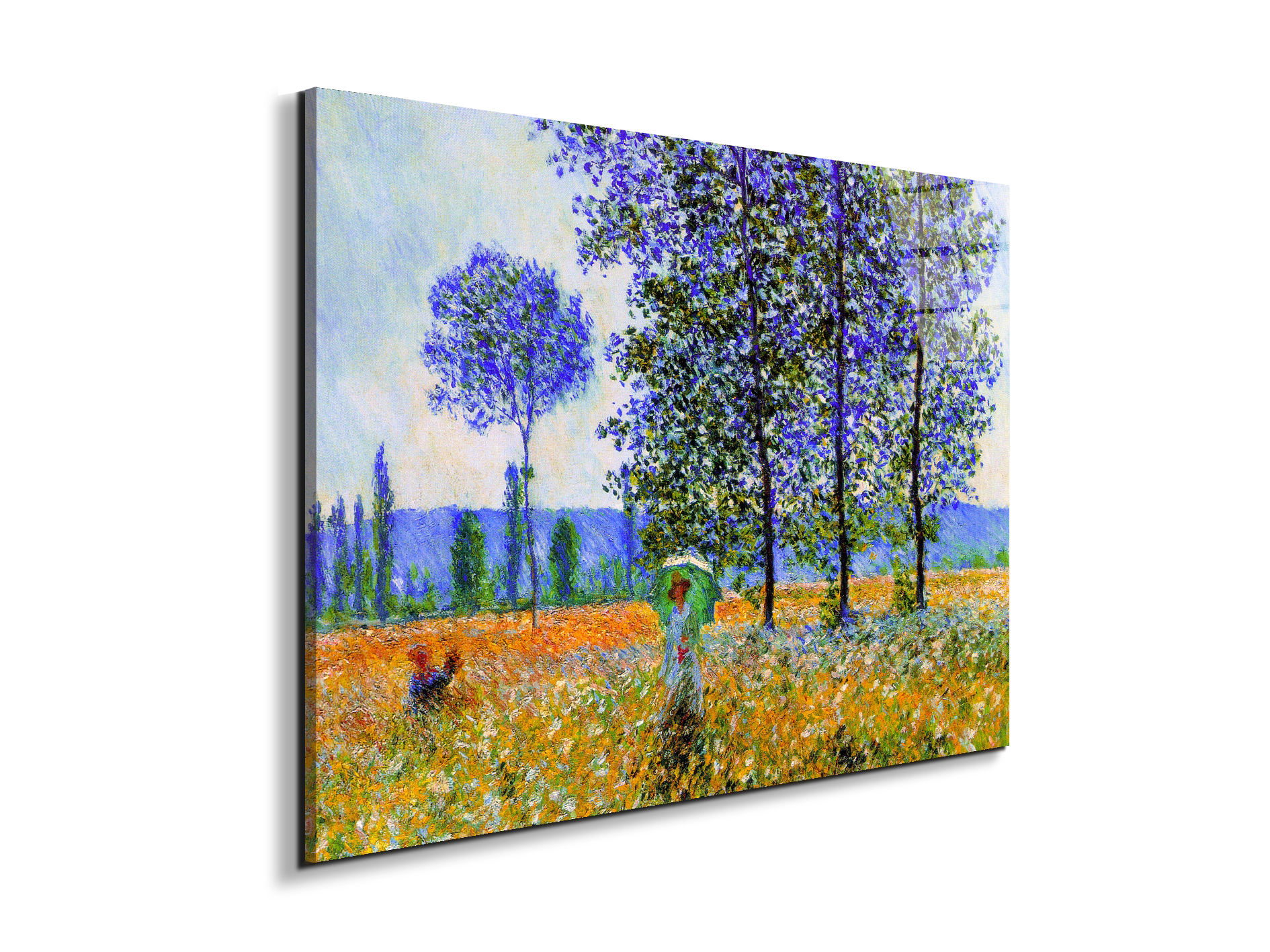 homage-to-monet-fields-in-springec22021-
