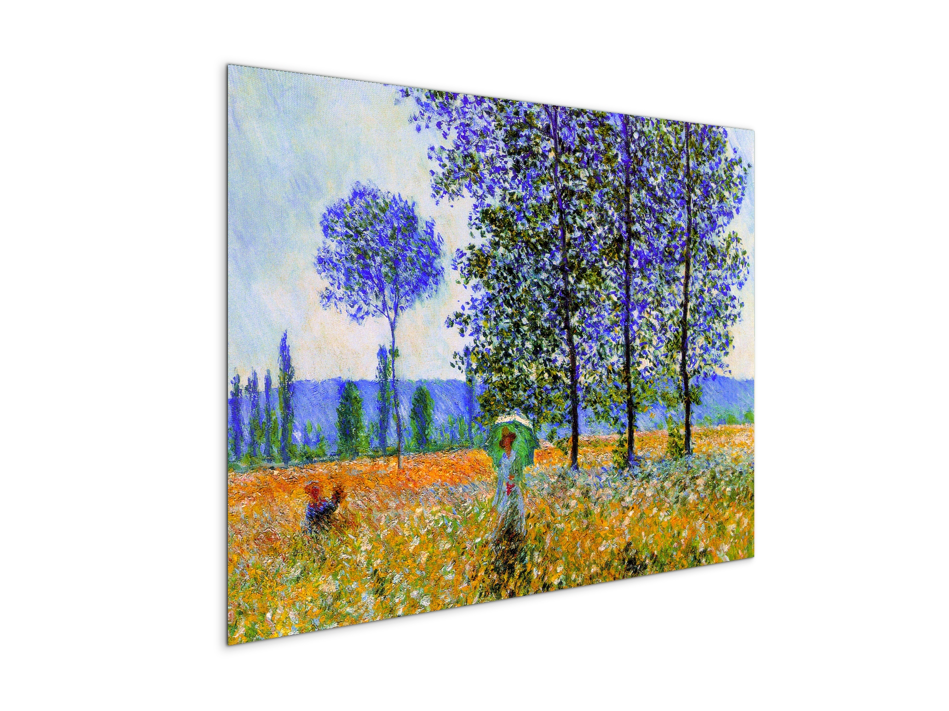 homage-to-monet-fields-in-springec22021-