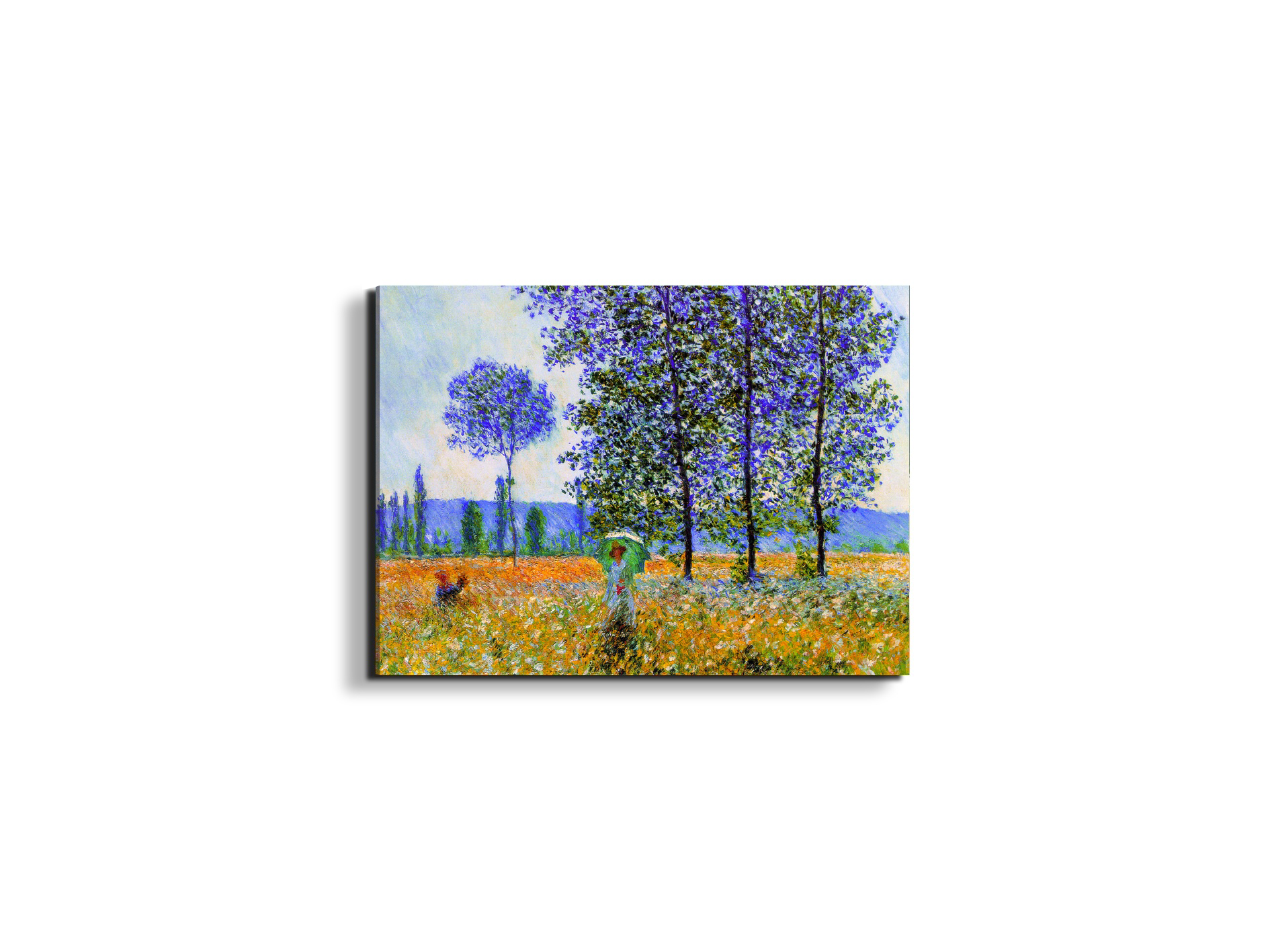 homage-to-monet-fields-in-springec22021-