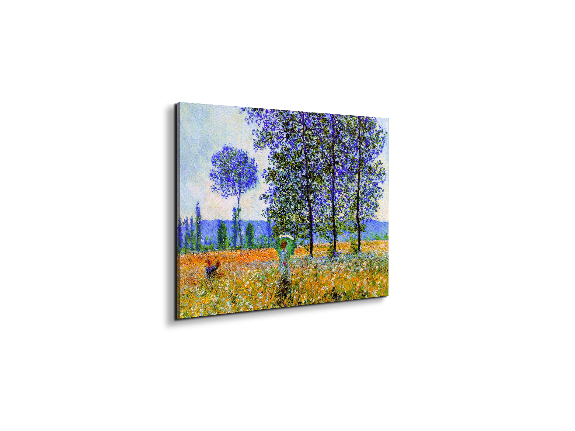 homage-to-monet-fields-in-springec22021-