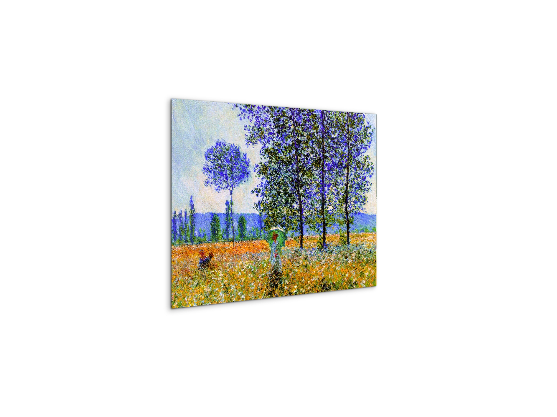 homage-to-monet-fields-in-springec22021-
