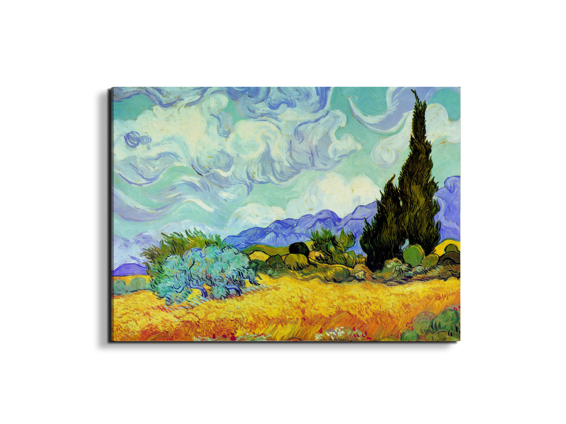 homage-to-van-gogh-cypress-treesec22027-