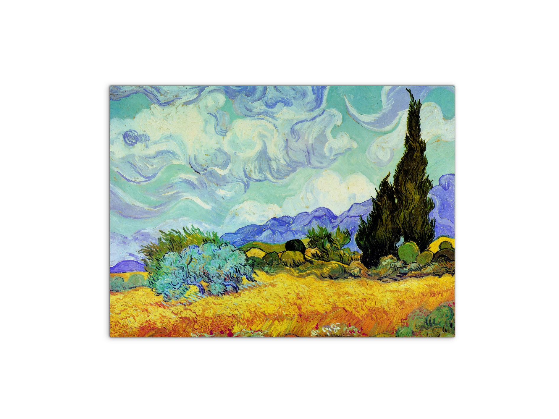 homage-to-van-gogh-cypress-treesec22027-