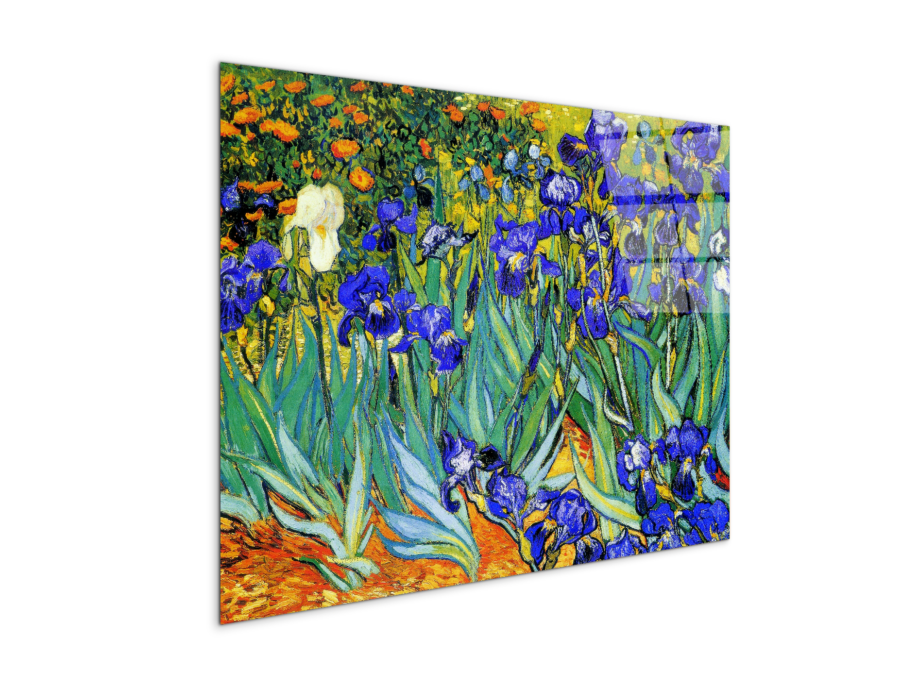 homage-to-van-gogh-irisesec22028-