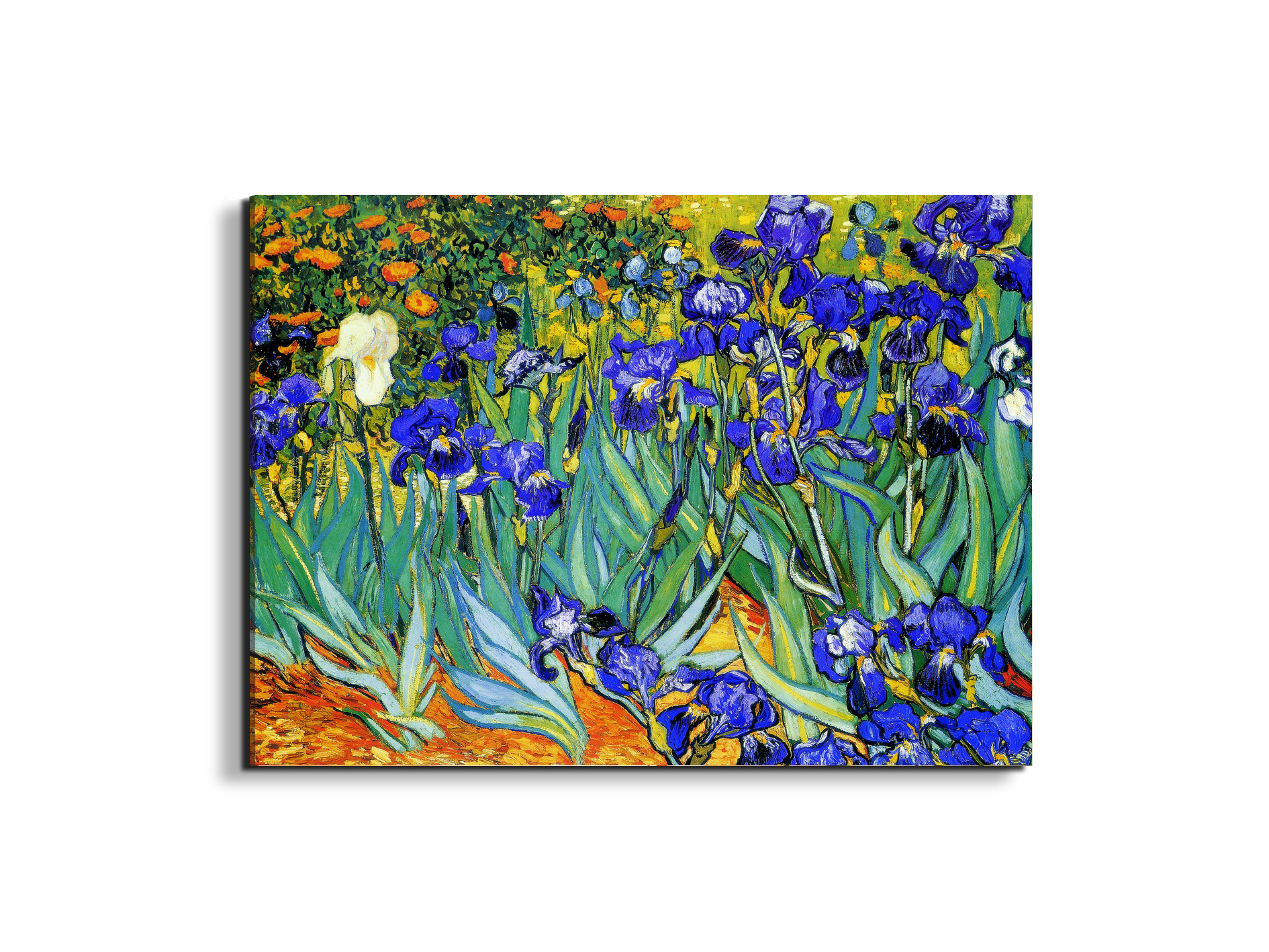 homage-to-van-gogh-irisesec22028-