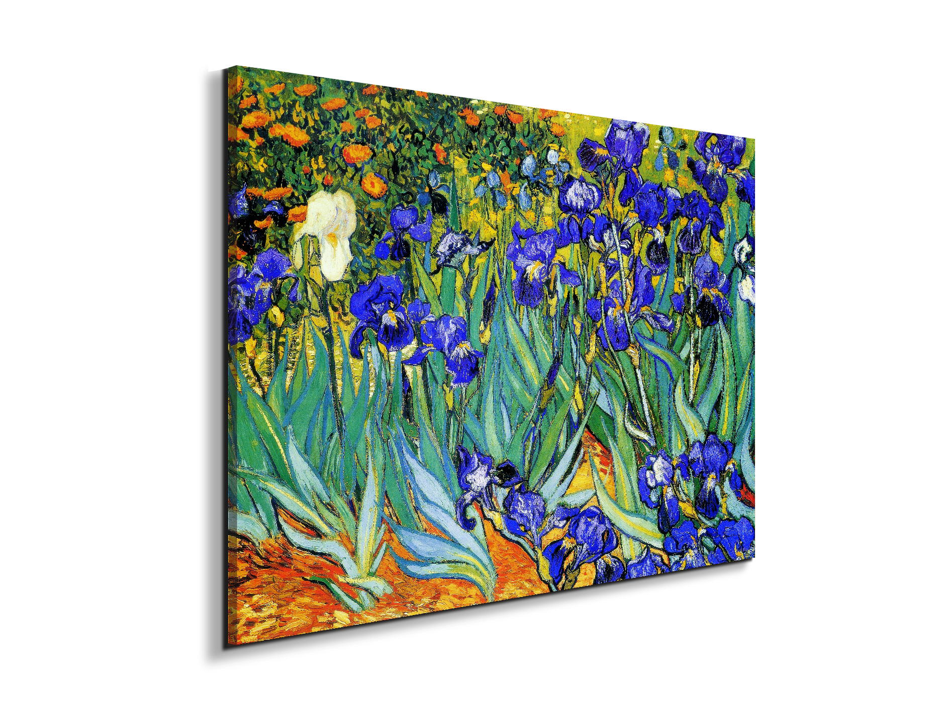 homage-to-van-gogh-irisesec22028-