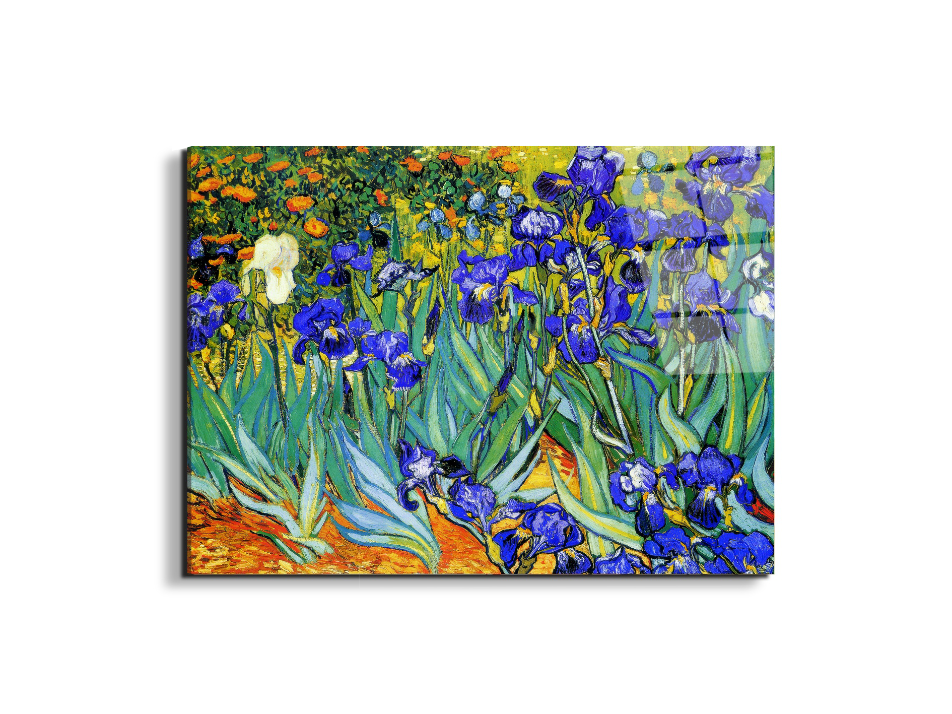 homage-to-van-gogh-irisesec22028-