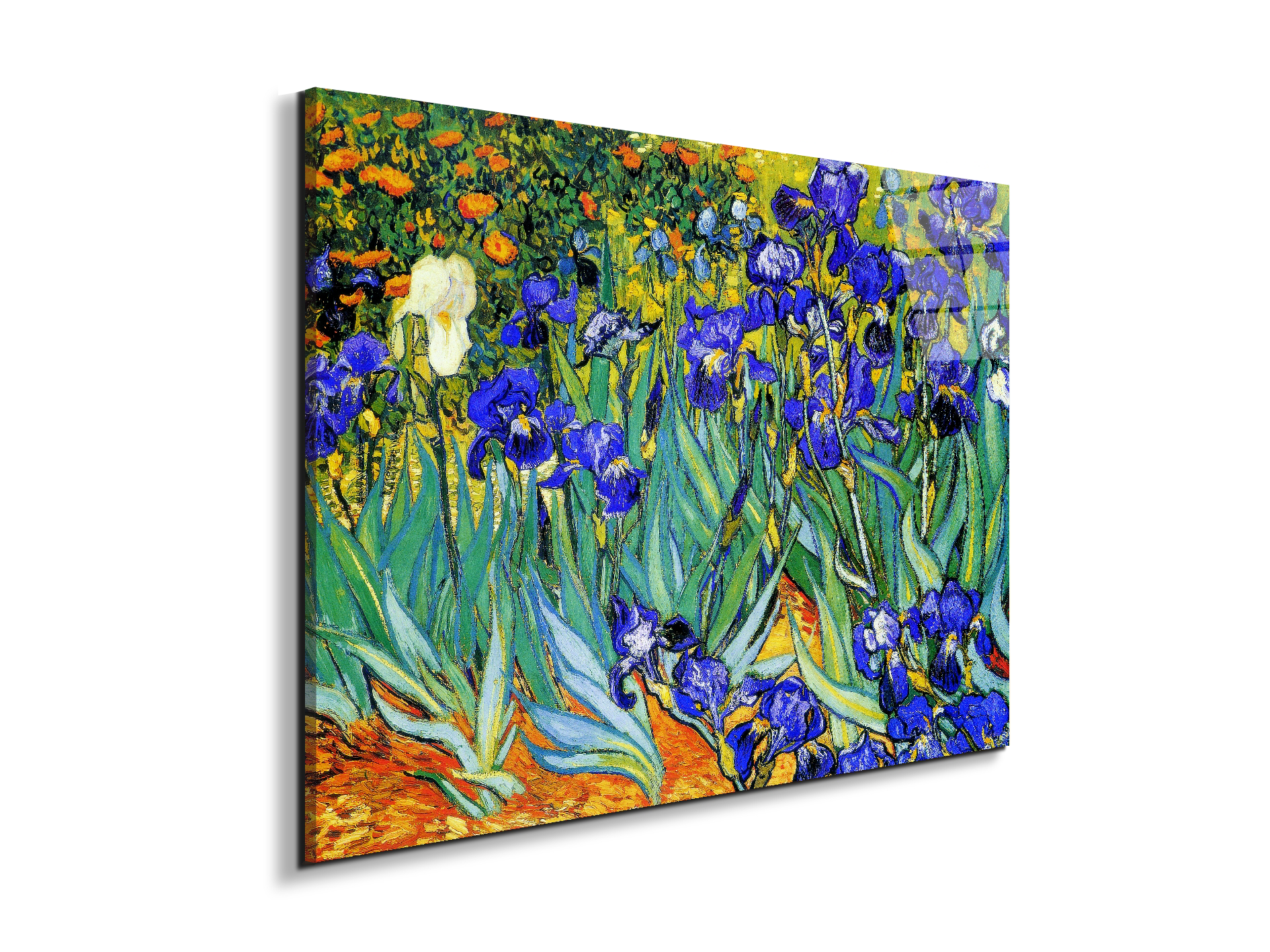 homage-to-van-gogh-irisesec22028-