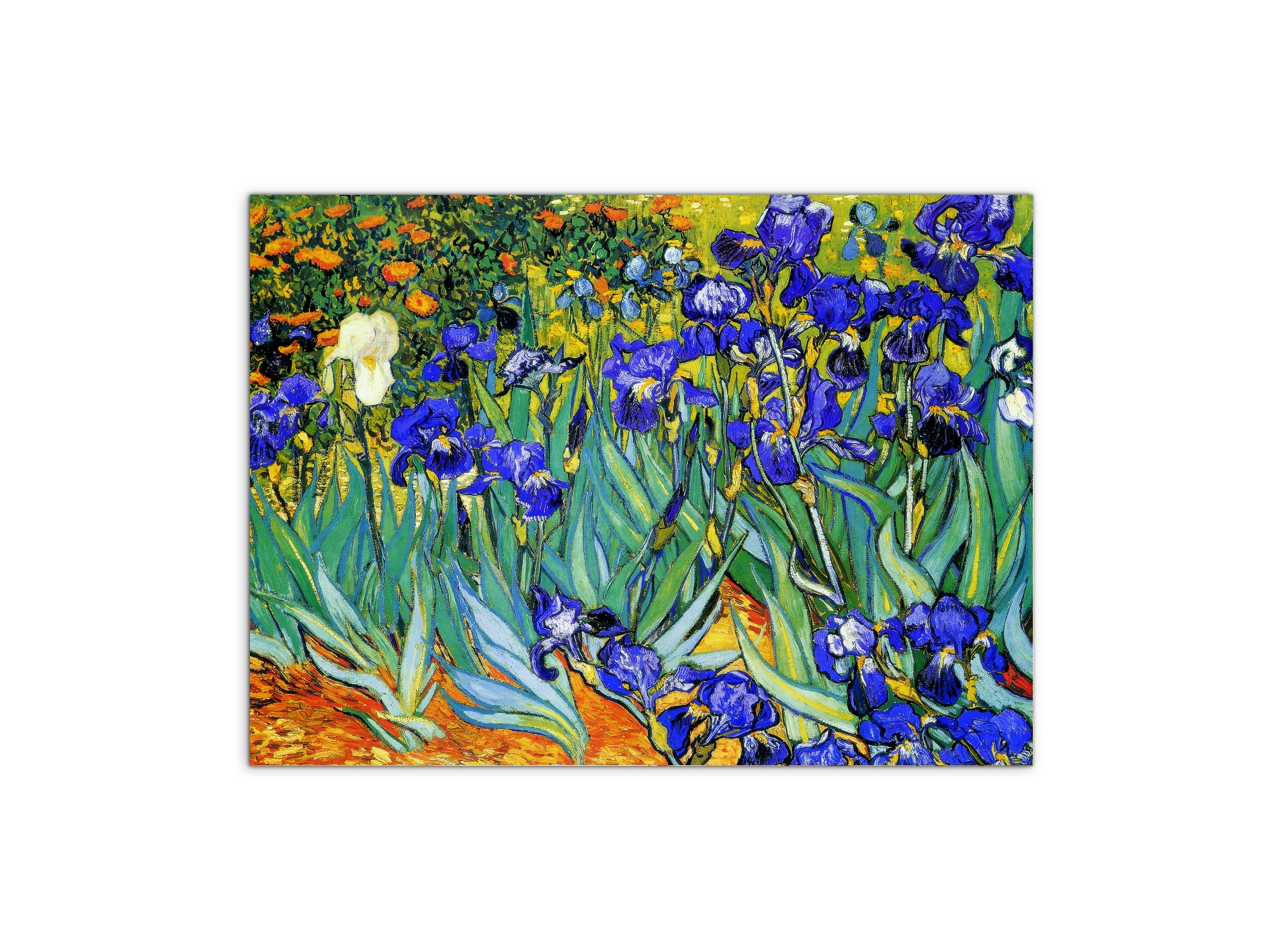 homage-to-van-gogh-irisesec22028-