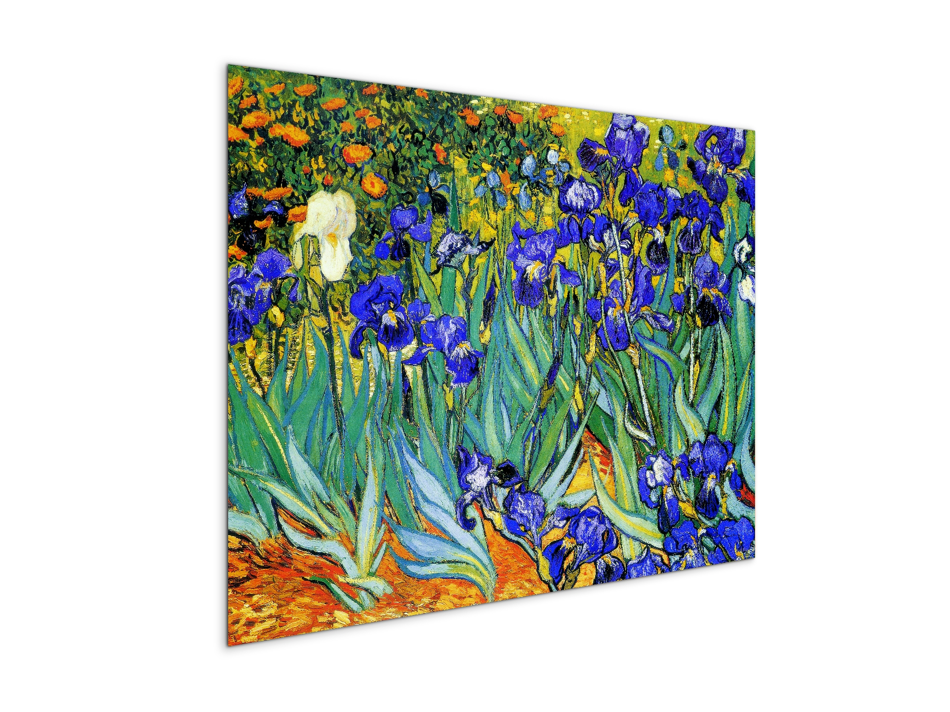 homage-to-van-gogh-irisesec22028-