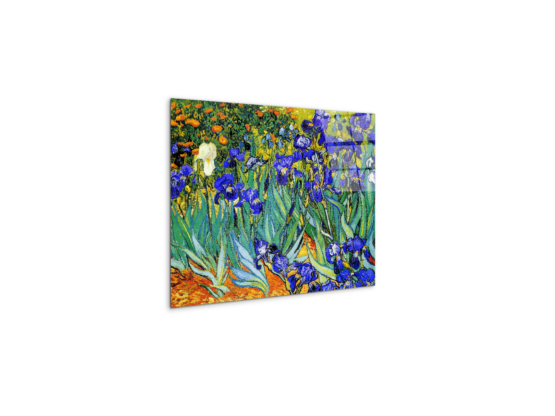 homage-to-van-gogh-irisesec22028-