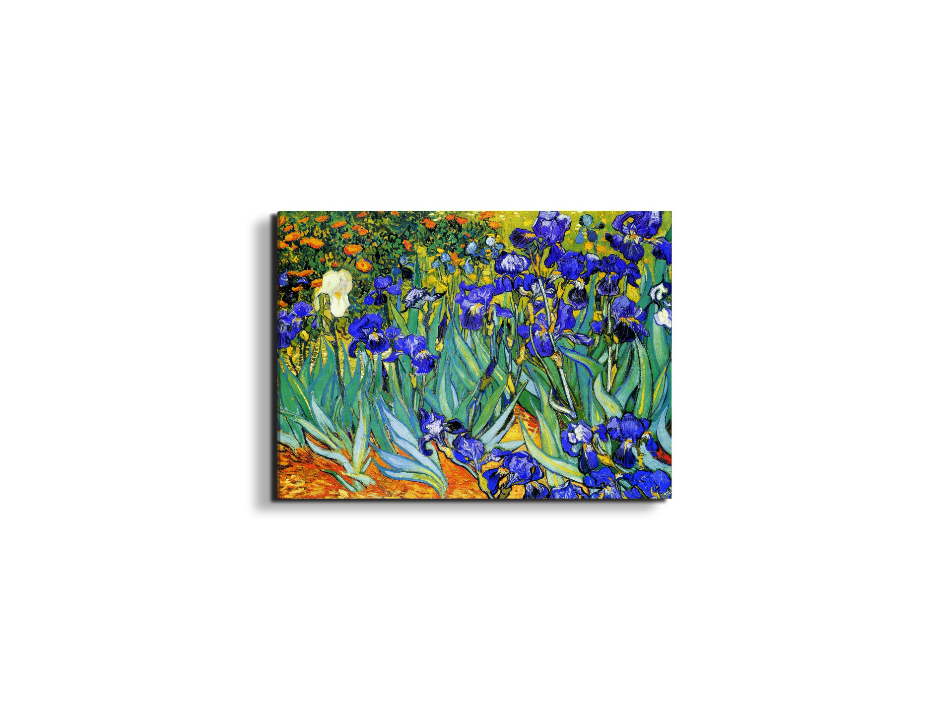 homage-to-van-gogh-irisesec22028-