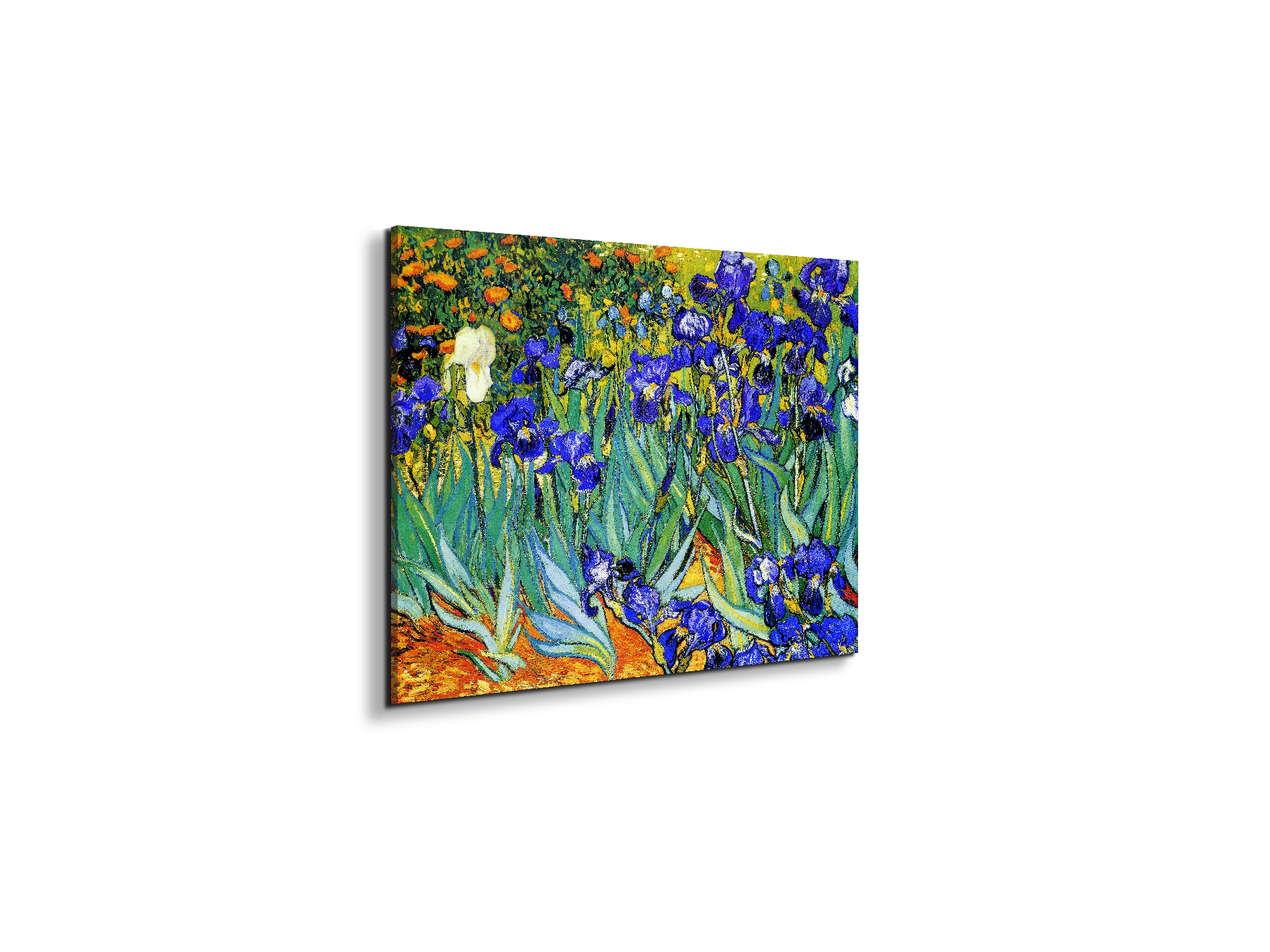 homage-to-van-gogh-irisesec22028-