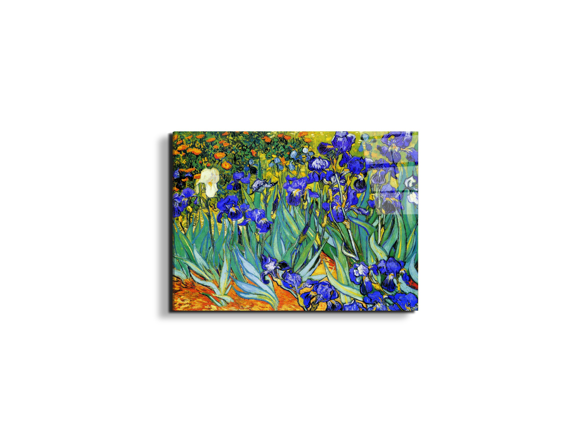 homage-to-van-gogh-irisesec22028-