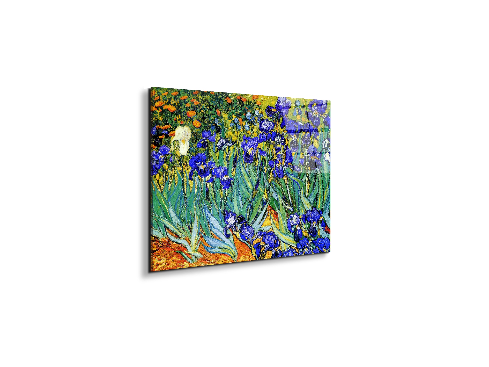 homage-to-van-gogh-irisesec22028-