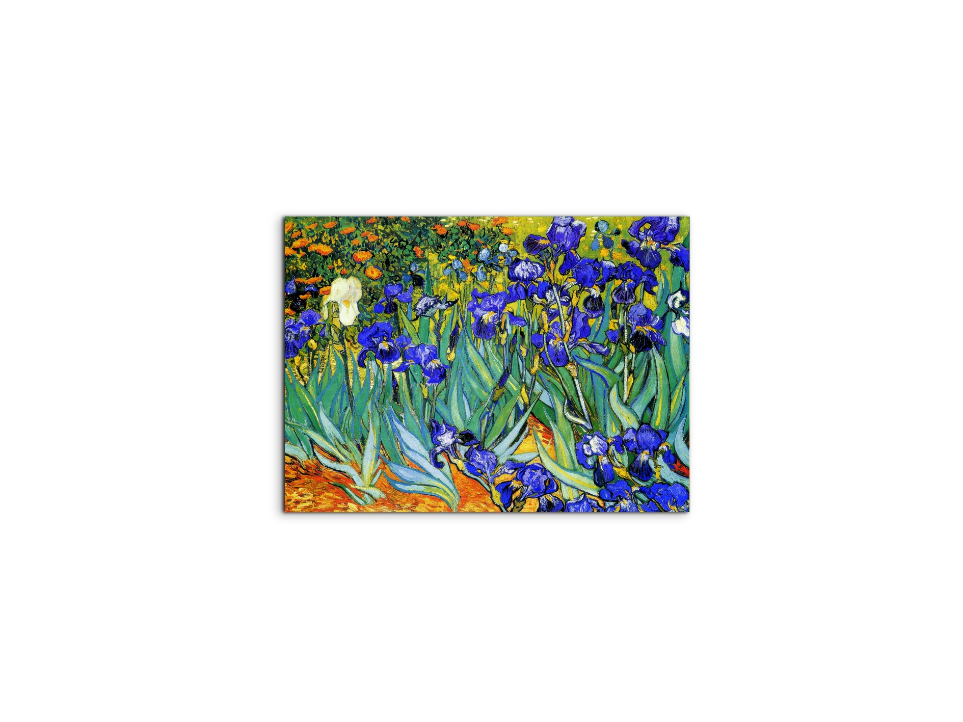 homage-to-van-gogh-irisesec22028-